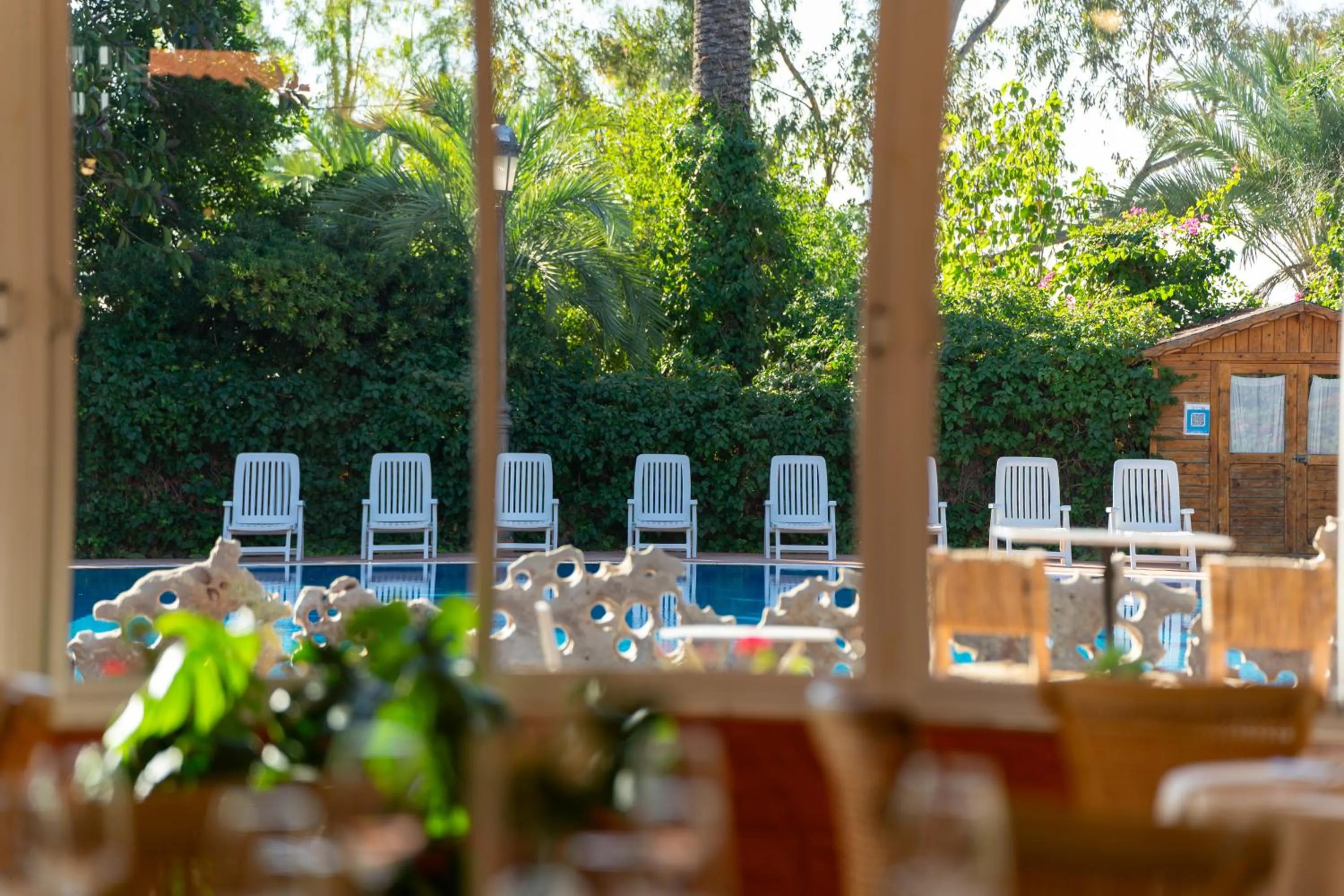 Swimming pool in Las Palmeras