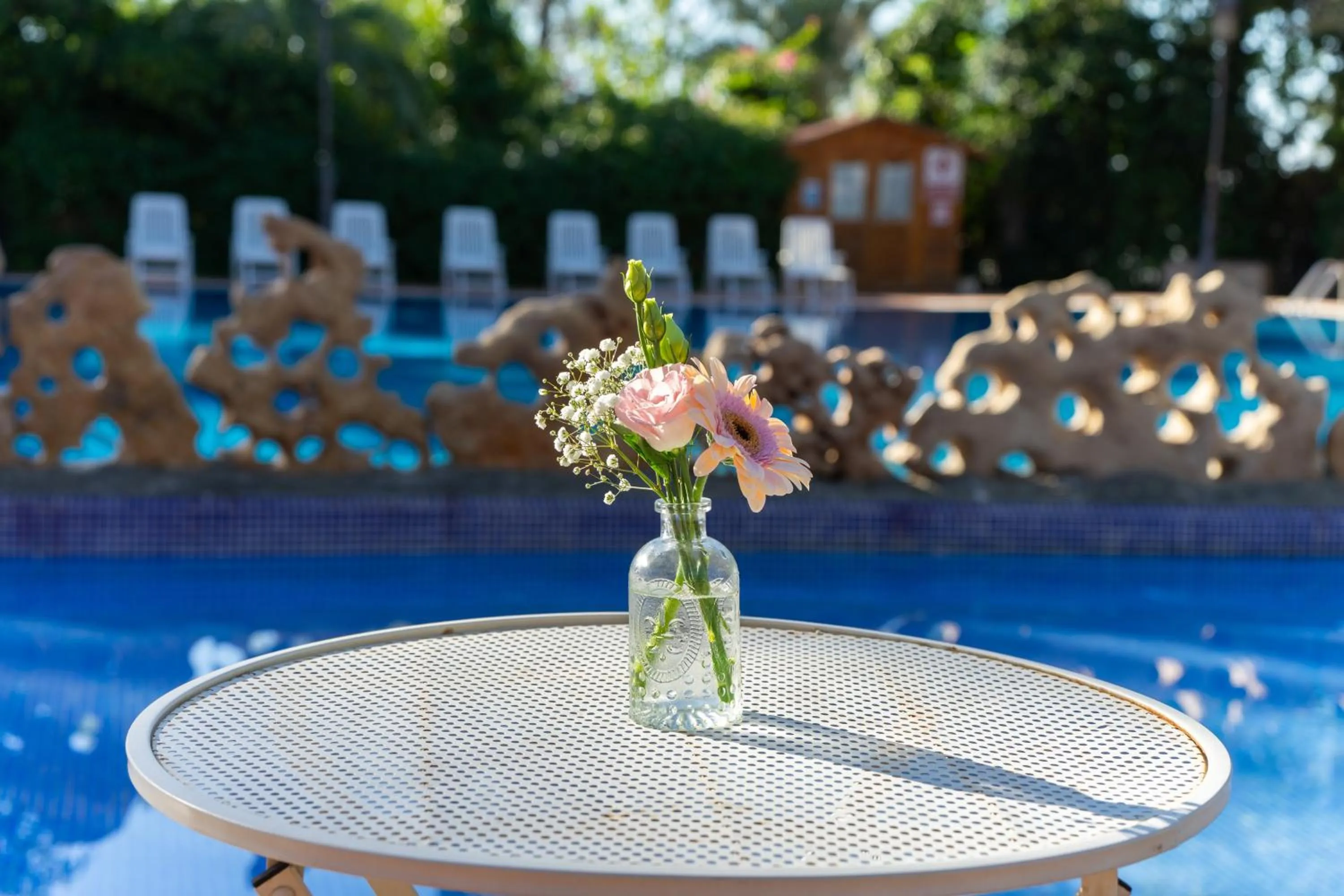 Swimming pool in Las Palmeras
