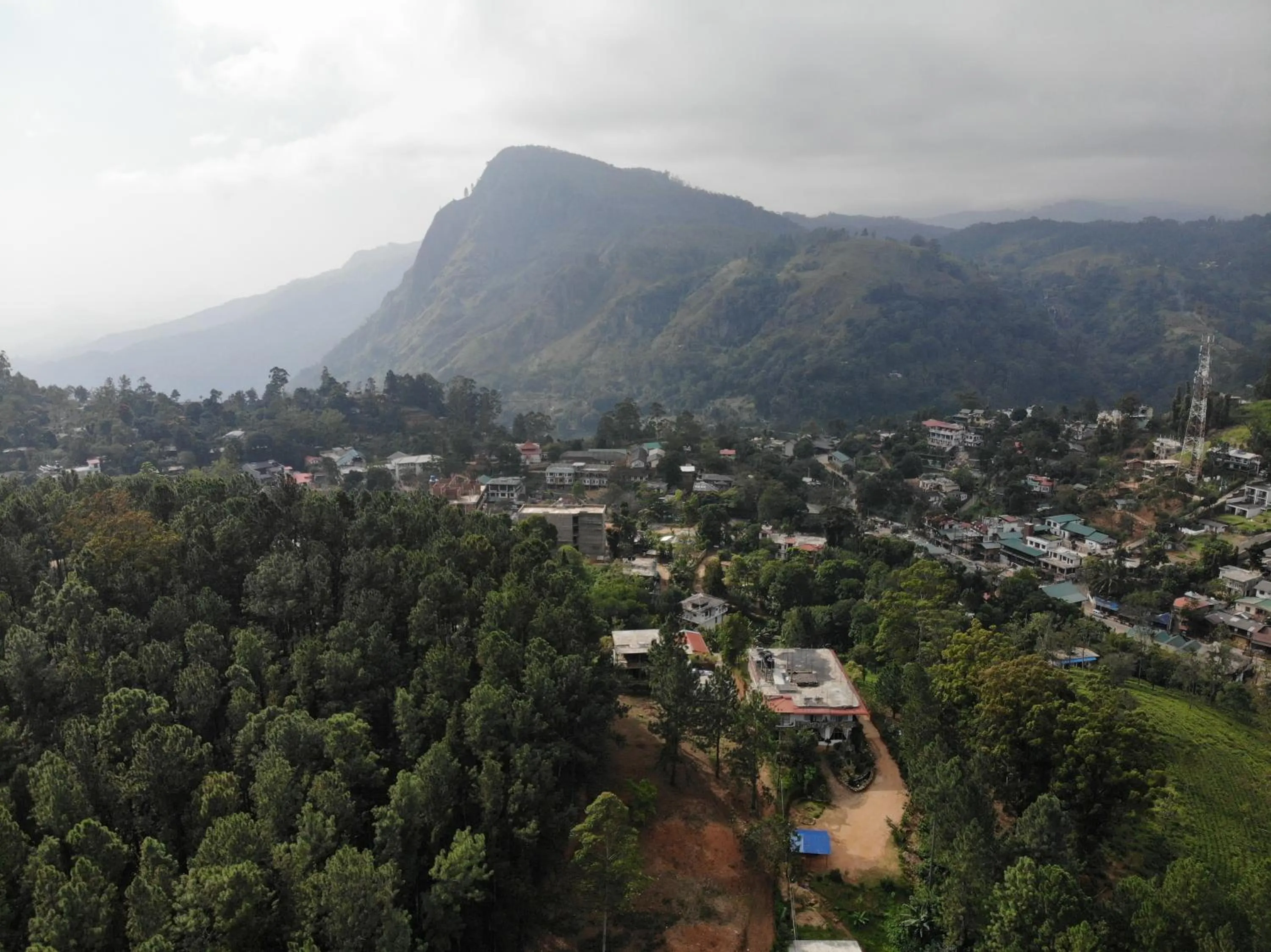 Double Room with Mountain View in Forest Paddy Homestay