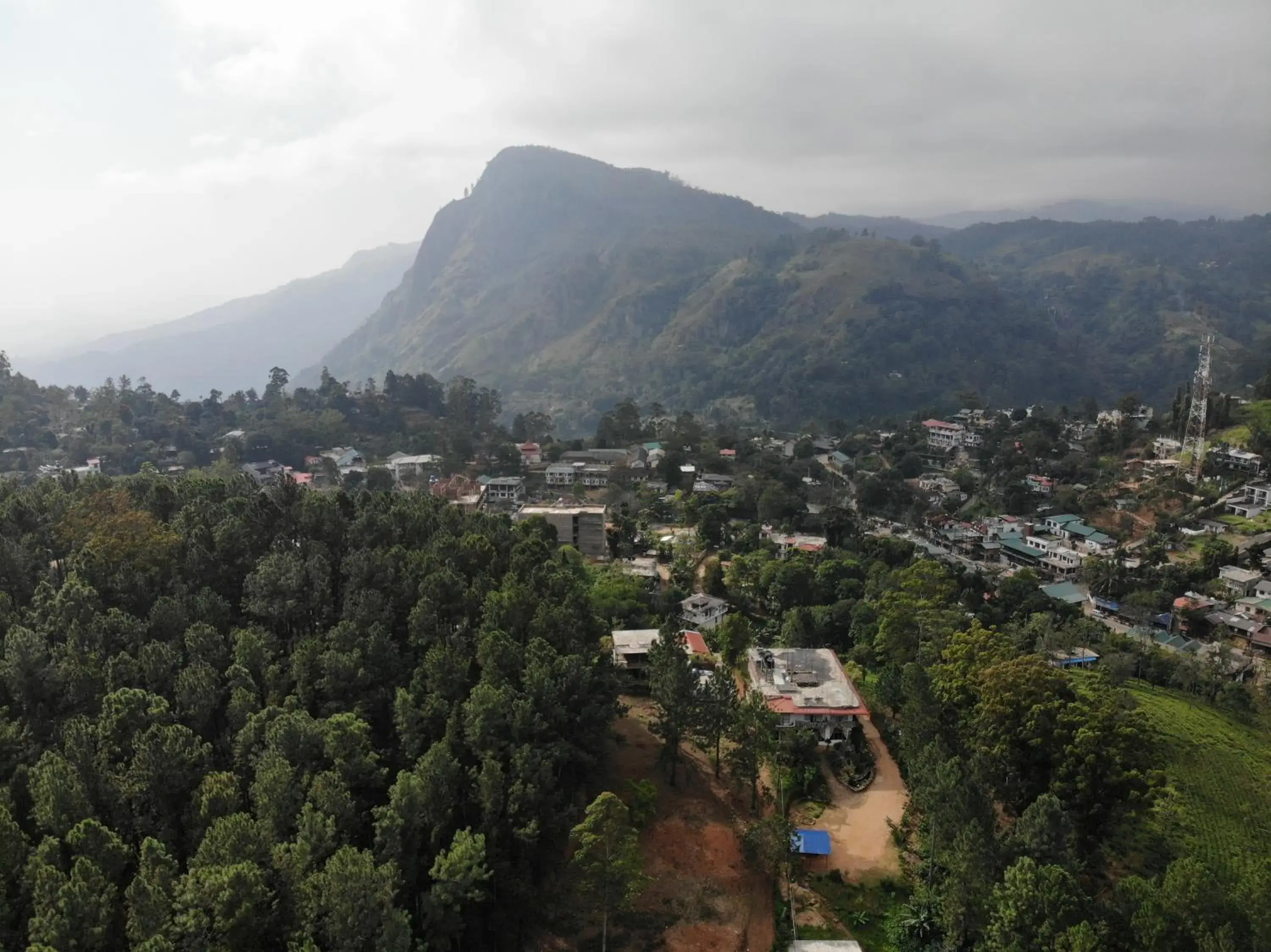 Double Room with Mountain View in Forest Paddy Homestay Double Room with Mountain View in Forest Paddy Homestay