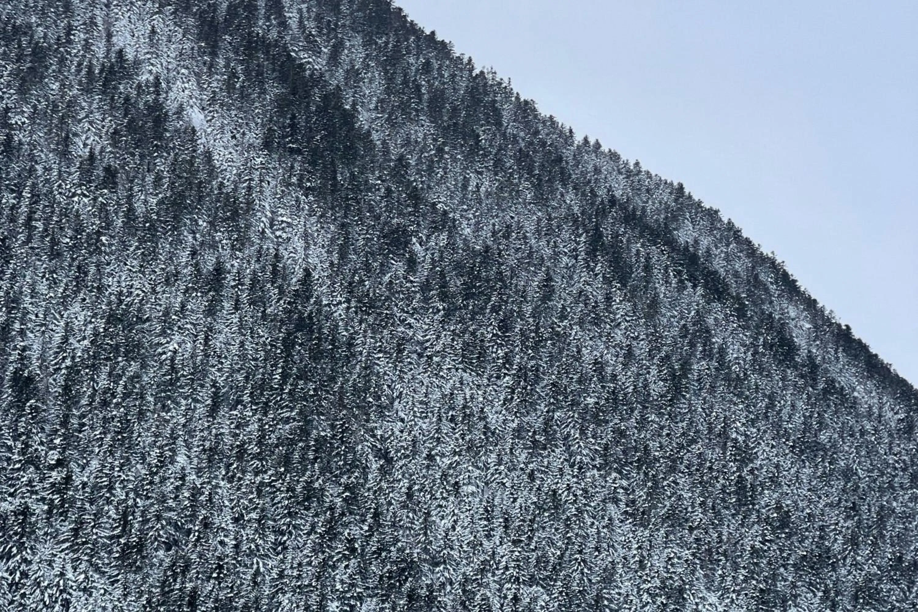 Other in Hotel AC Baqueira Ski Resort, Autograph Collection