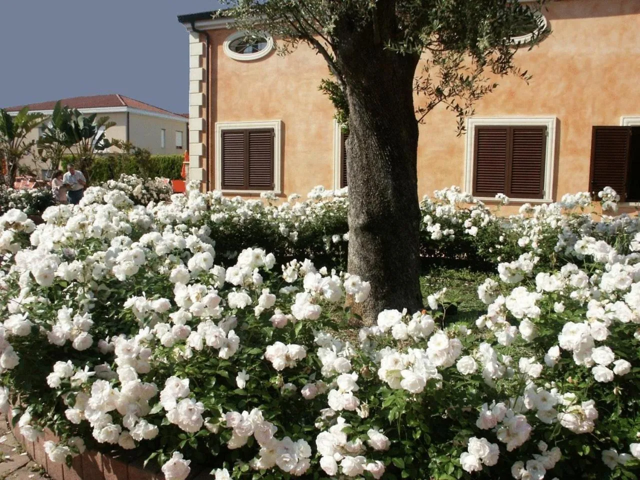 Spring in Residence Baia Infreschi