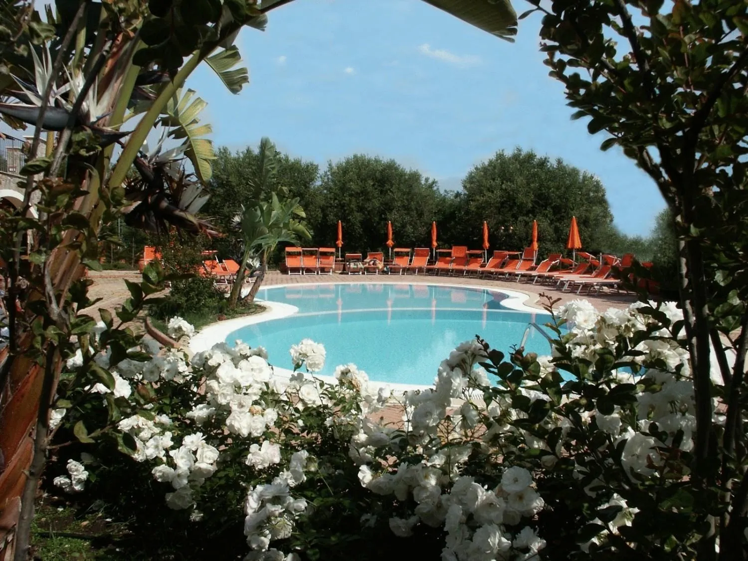 Swimming pool in Residence Baia Infreschi