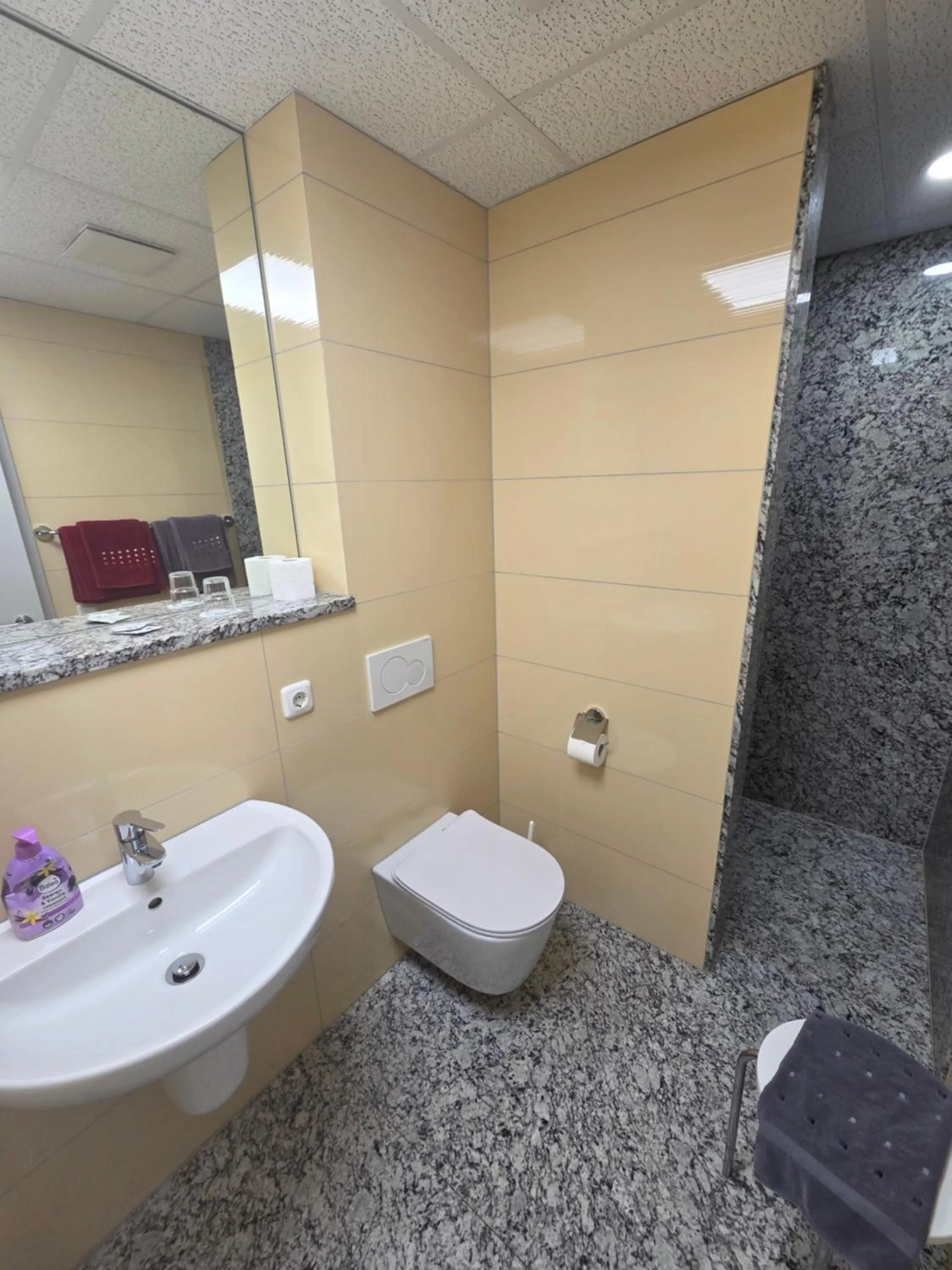 Toilet in Helmers Gästehaus