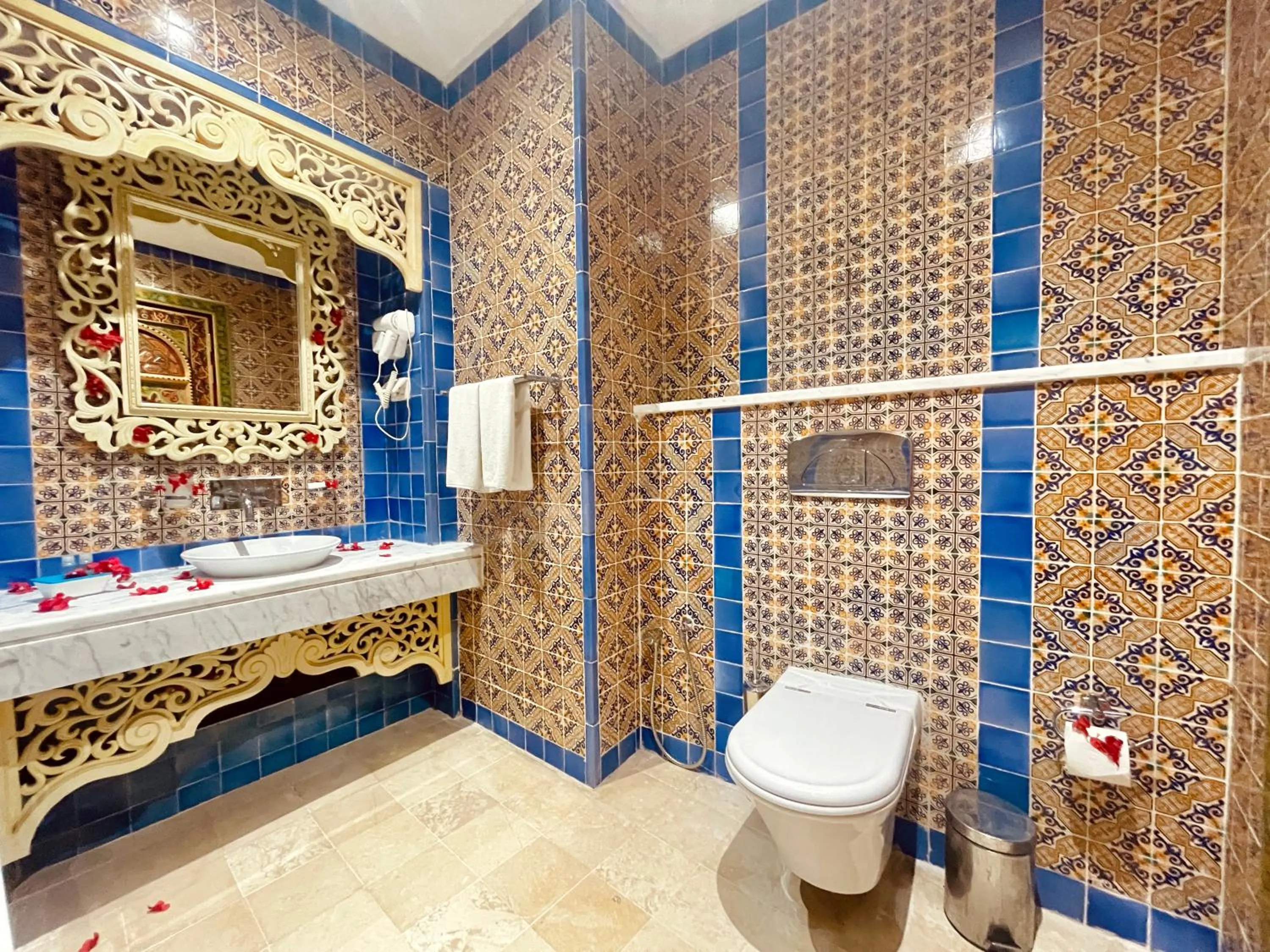 Toilet in Royal Victoria - Ex British Embassy