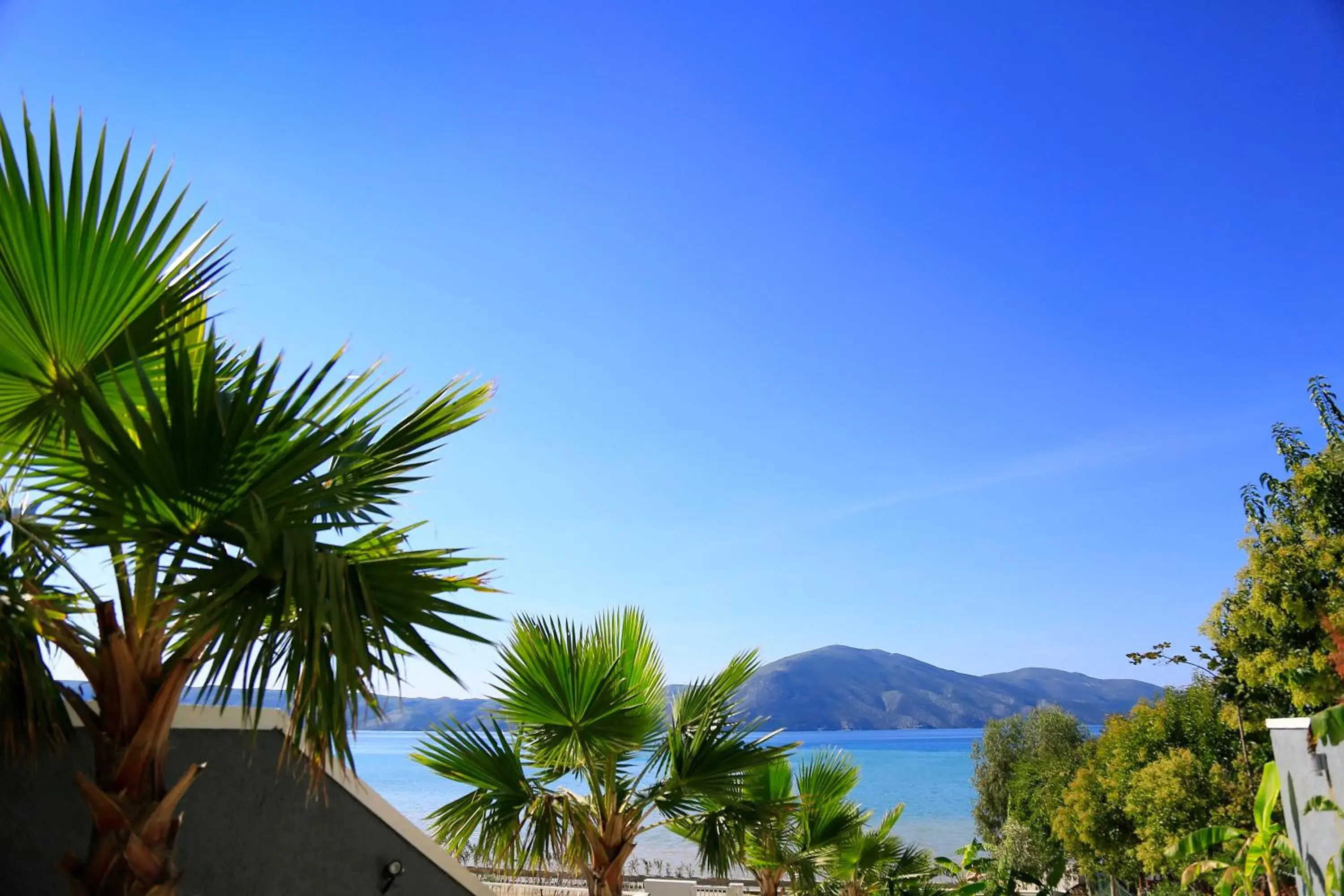 Lobby or reception in Hotel Picasso Lobby or reception in Hotel Picasso