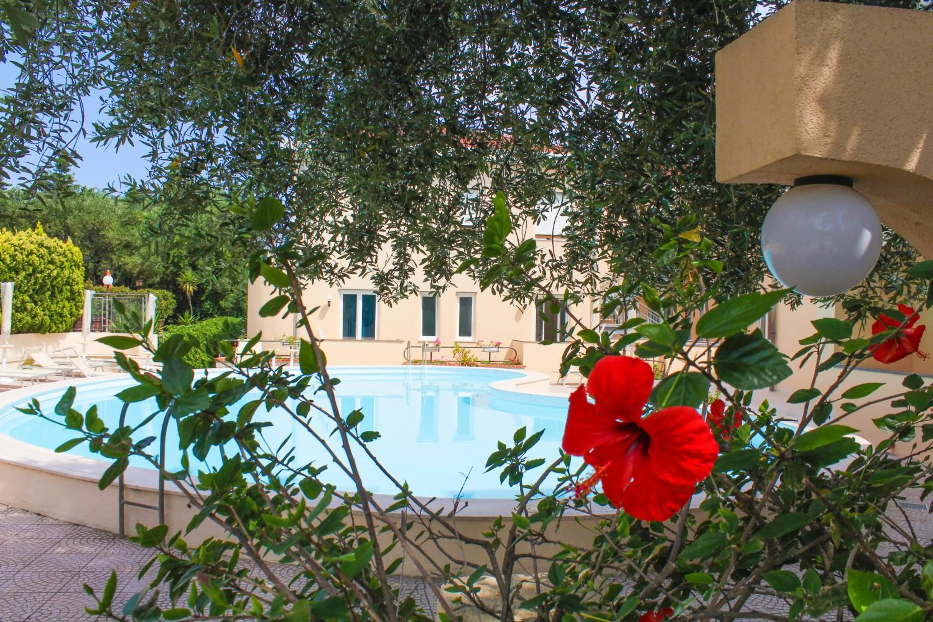 Garden in Hotel America