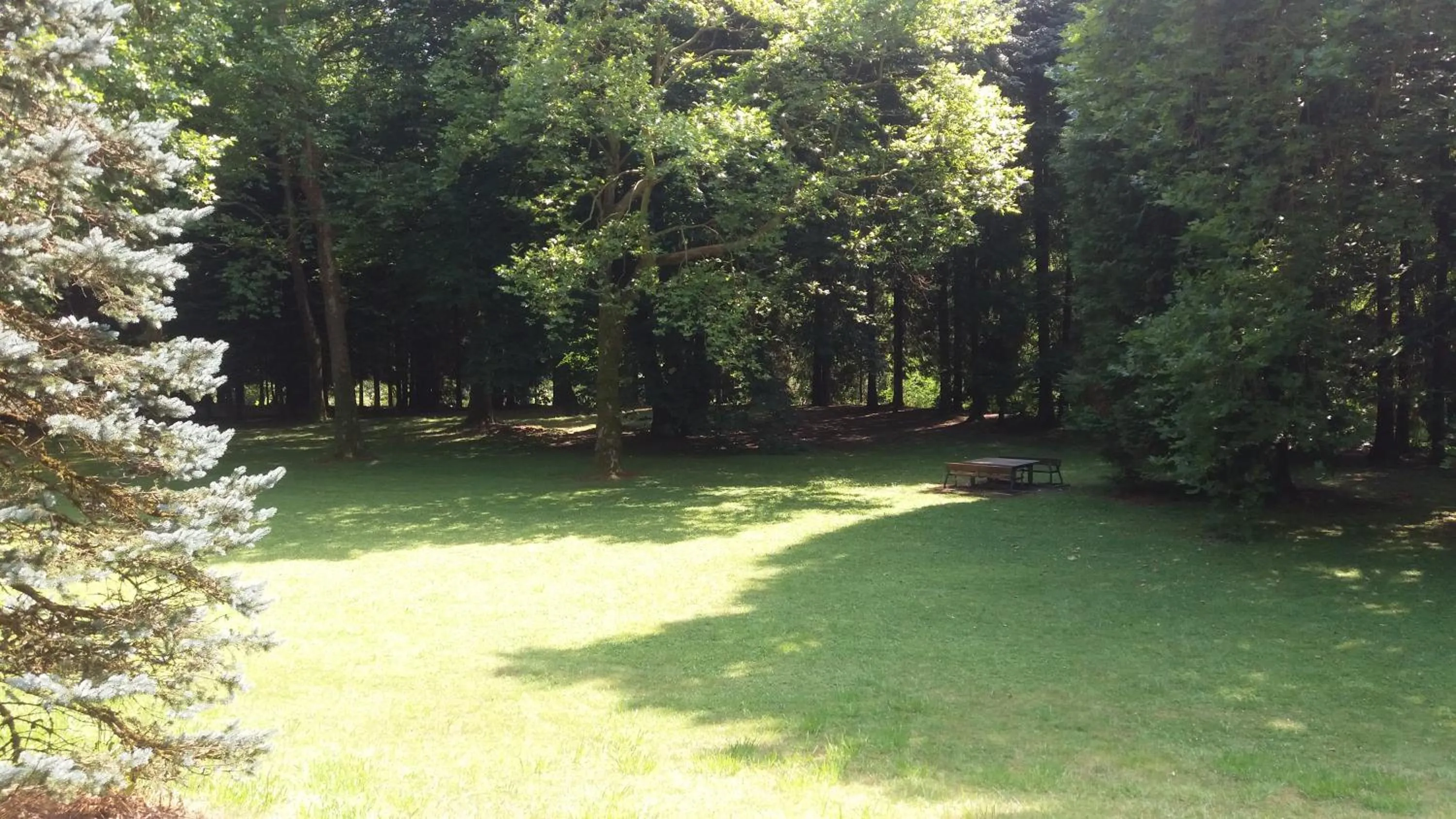 Other in Balneario Casa Pallotti