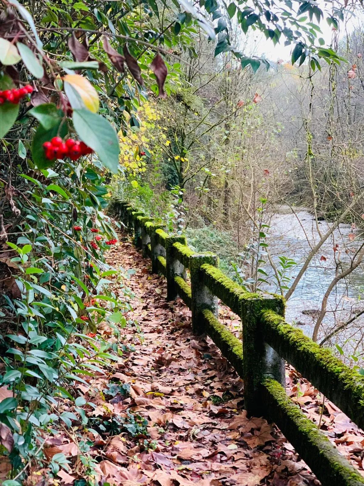 Off site in Balneario Casa Pallotti