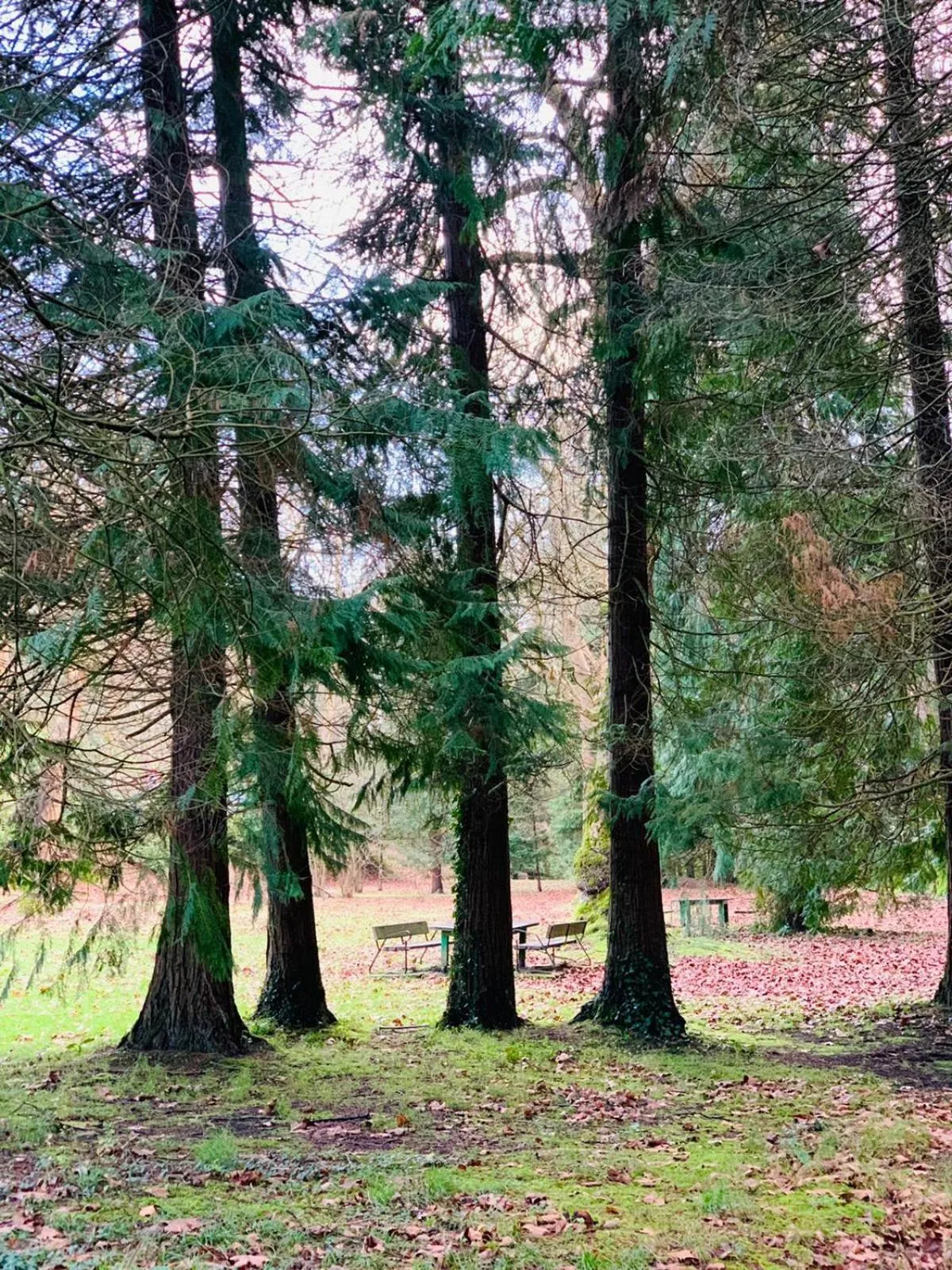 Off site in Balneario Casa Pallotti