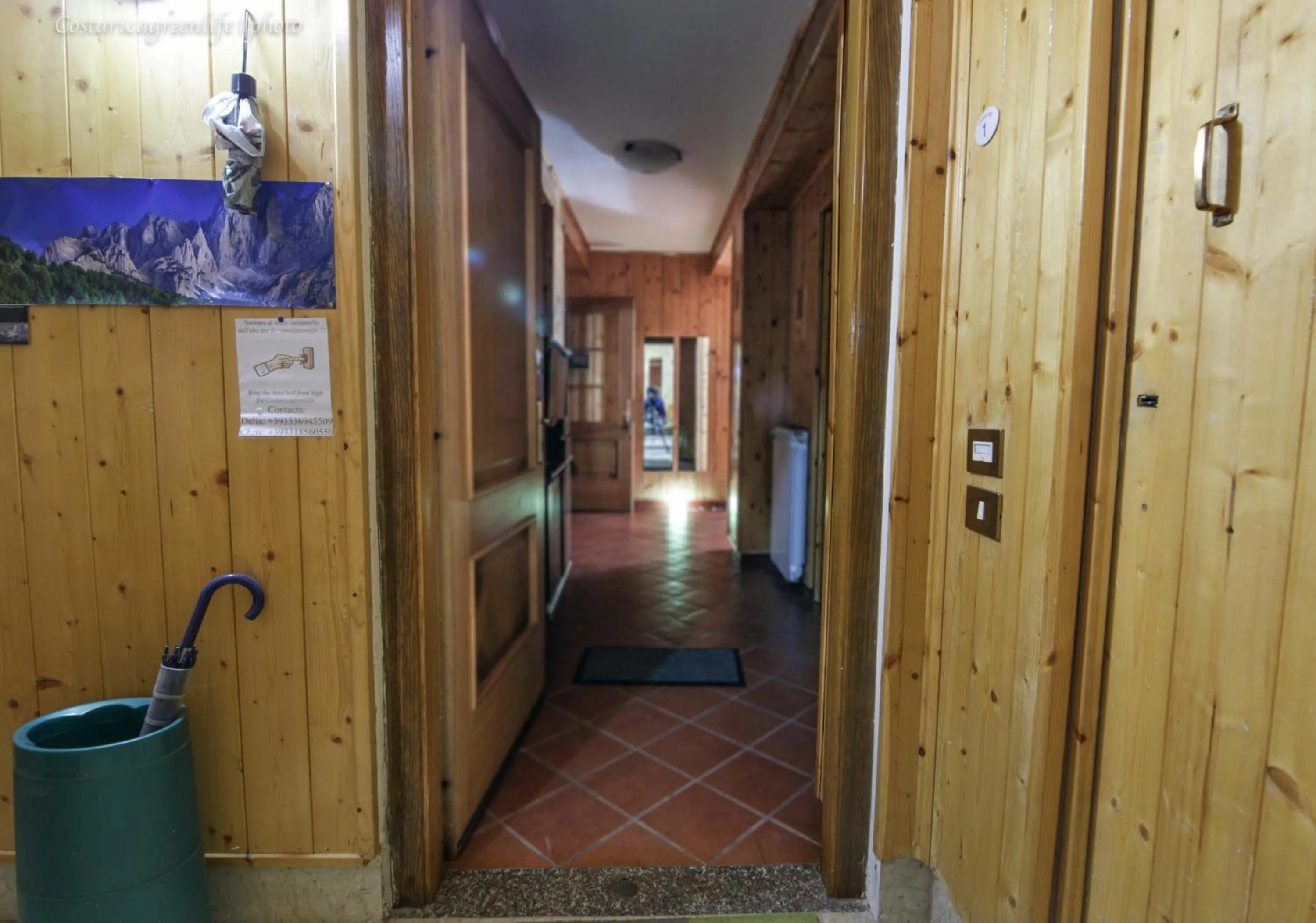 Other in Central Greenlife