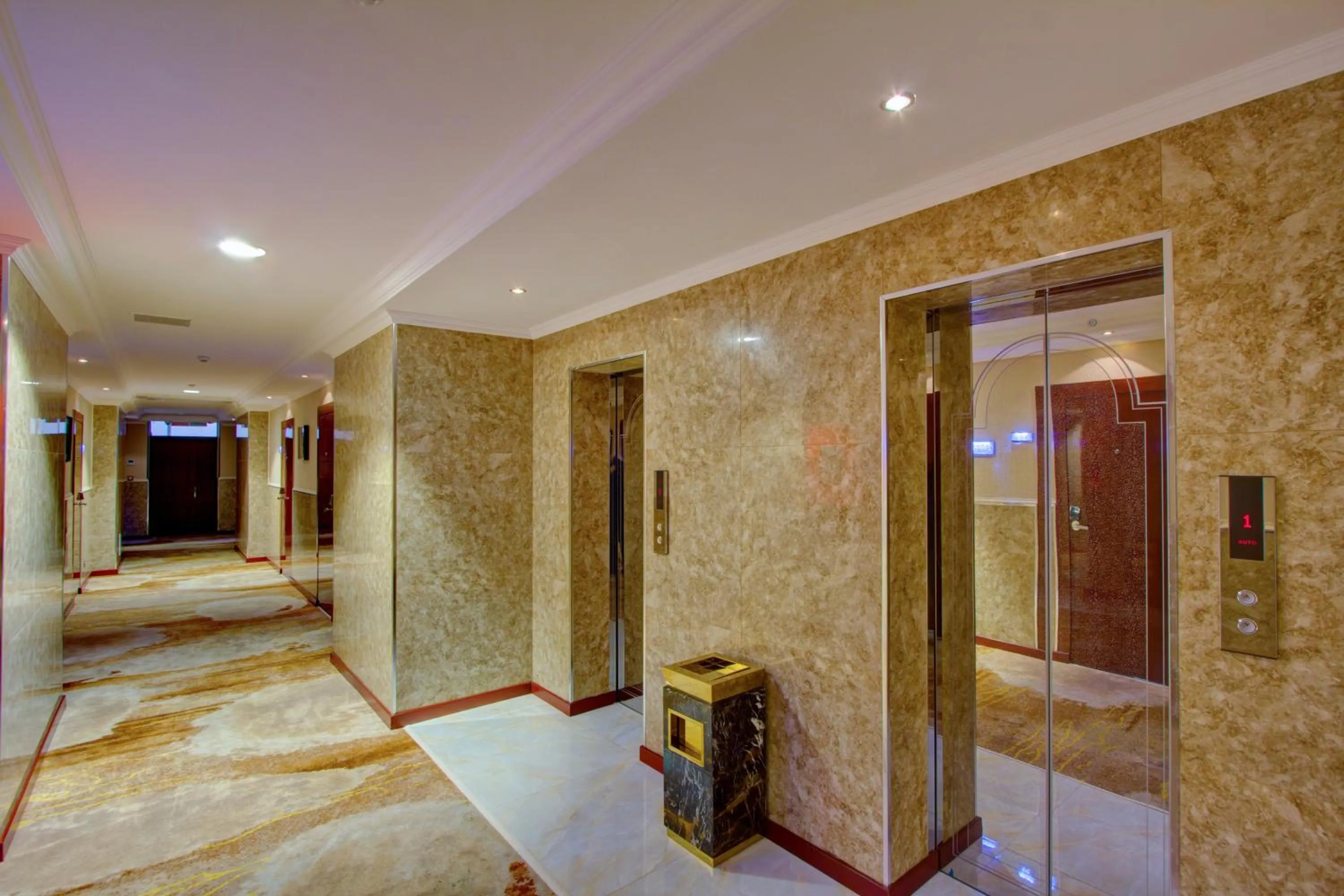 Area and facilities in Hotel Lulu