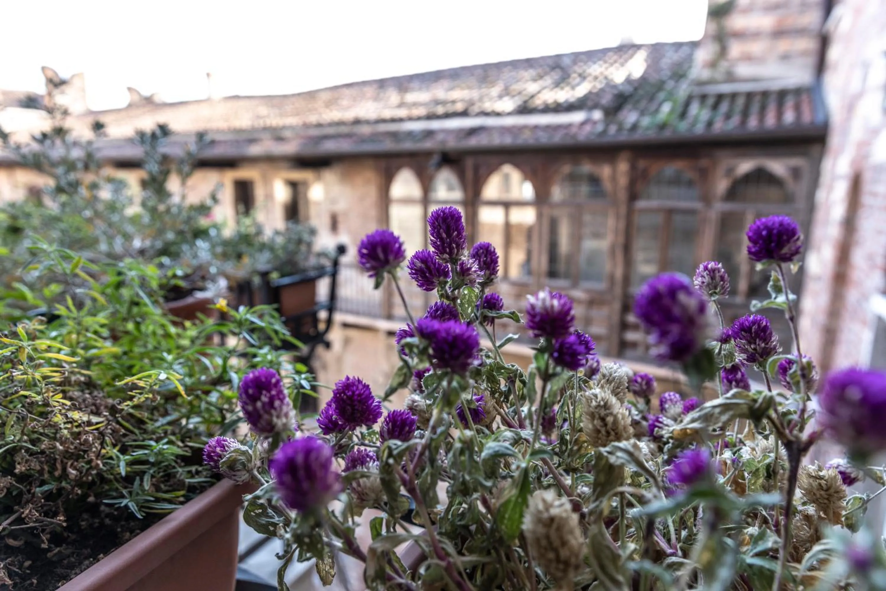 Inner courtyard view in Relais Balcone di Giulietta