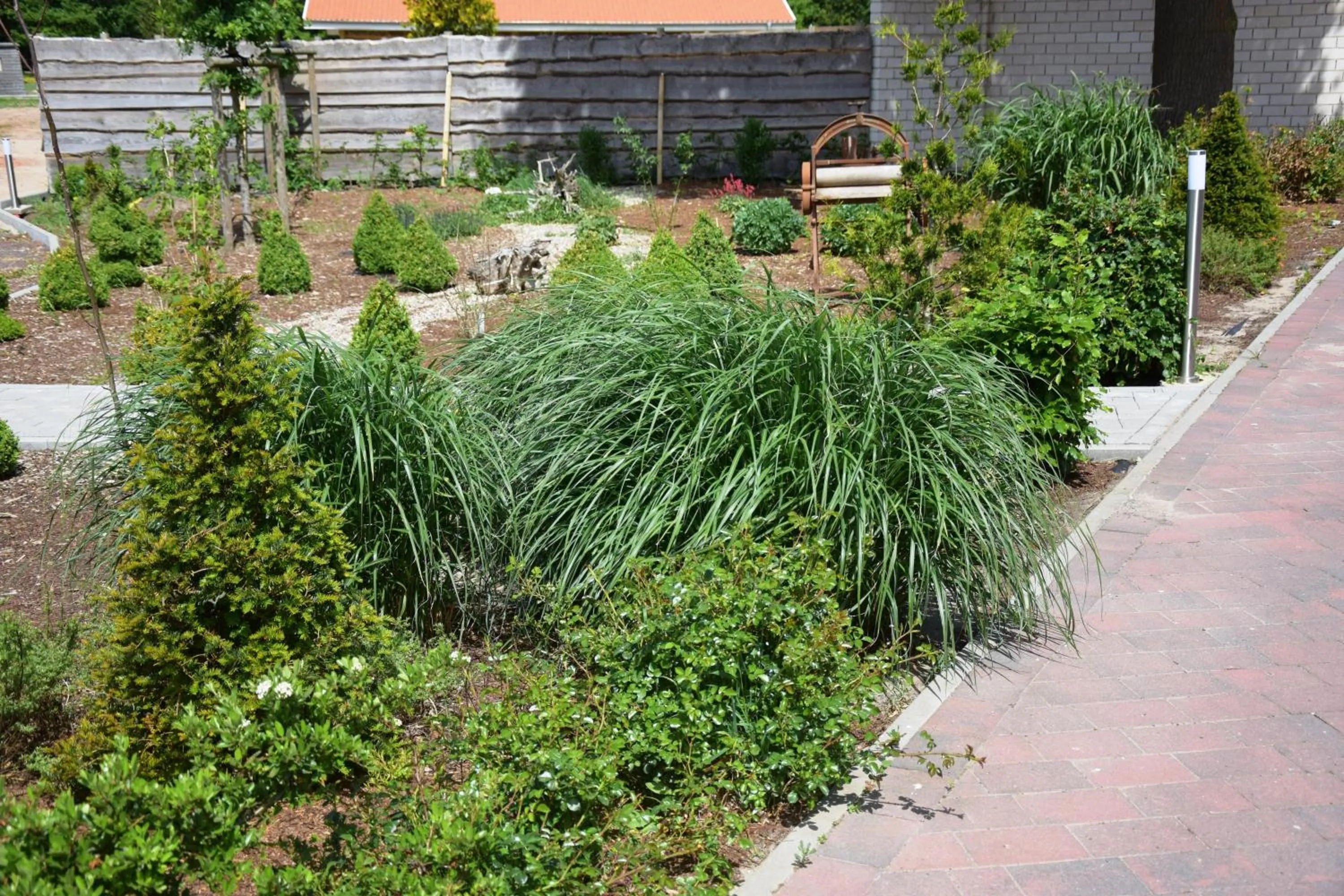 Natural landscape in Ferienresort Texas MV