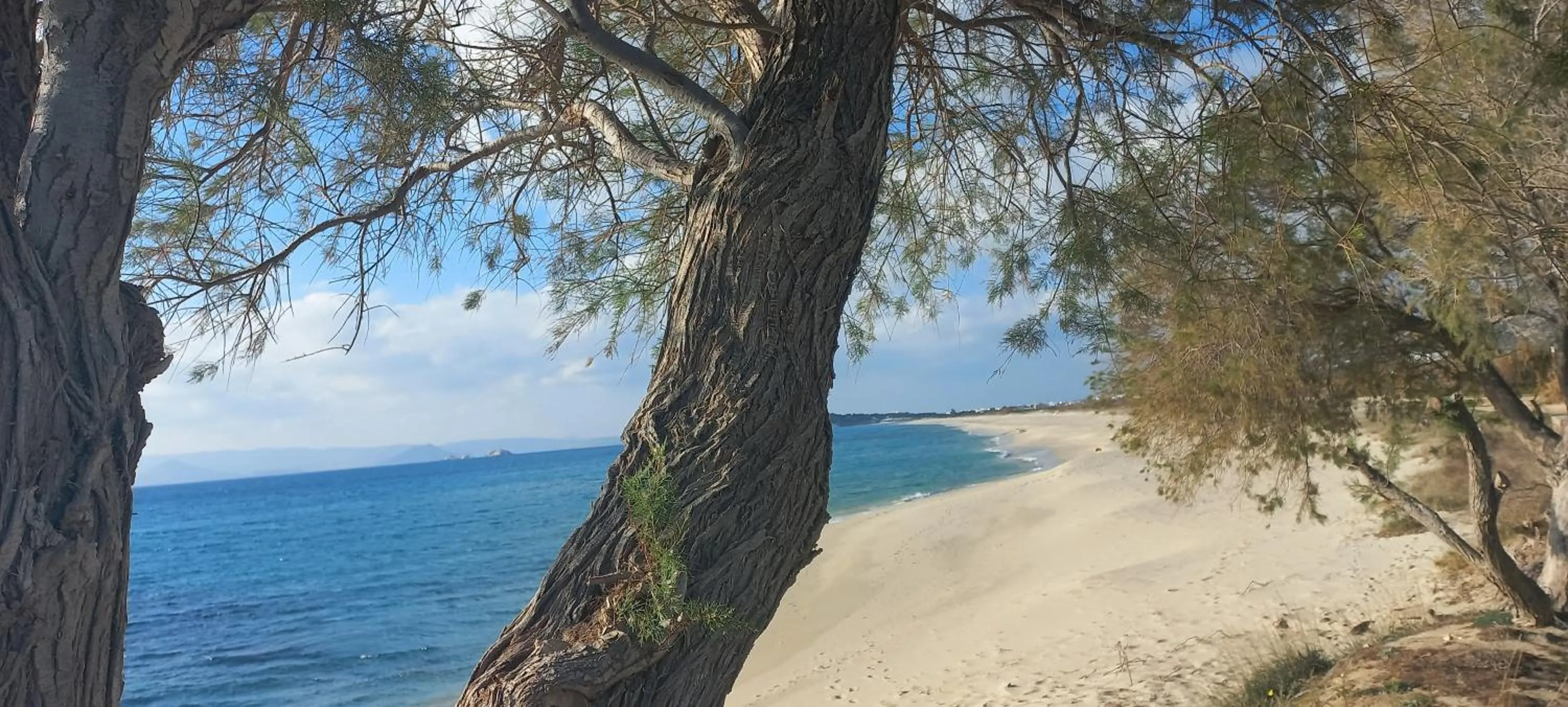 Beach in Villa Kastraki