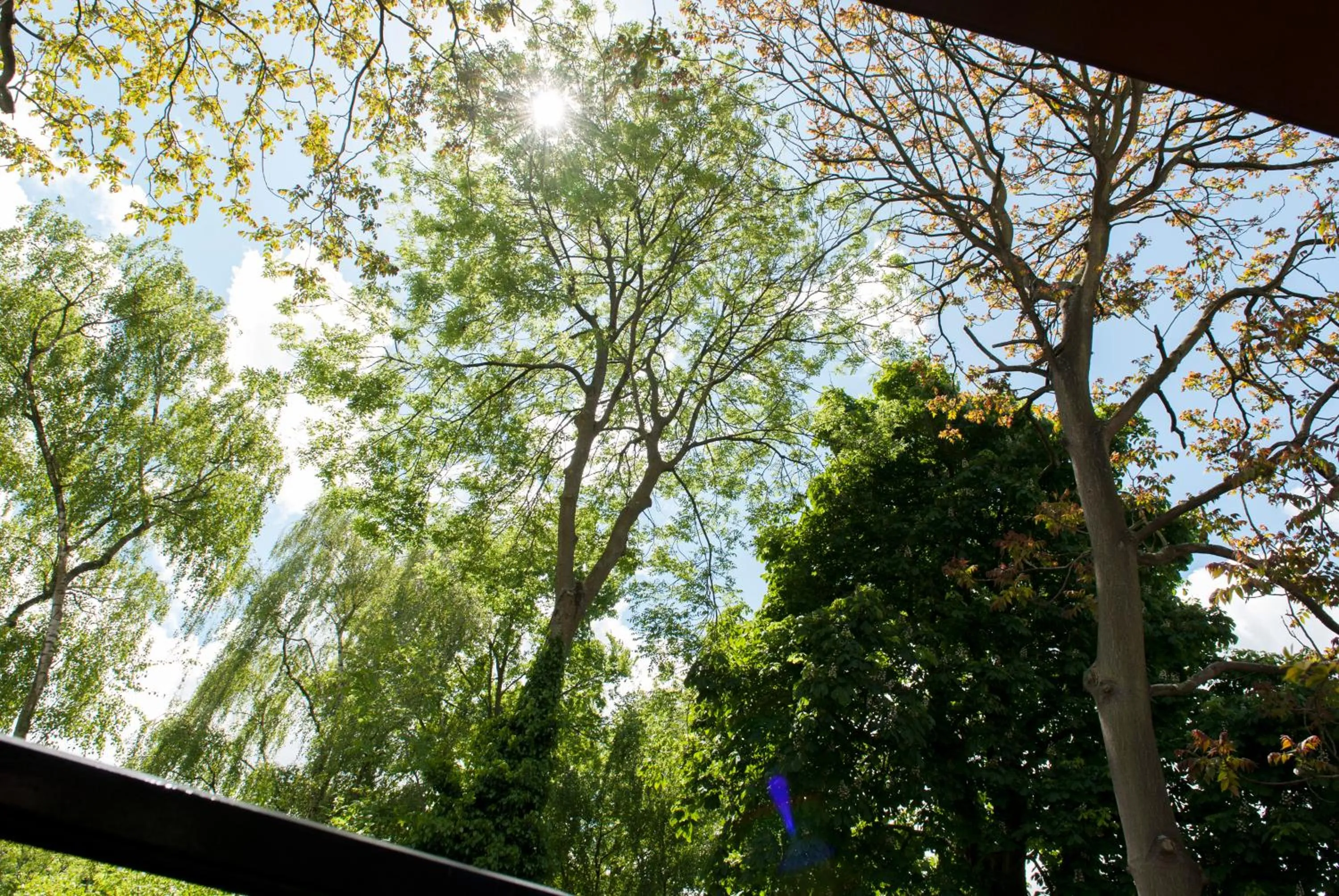 View (from property/room) in Boutique Hotel De Salon