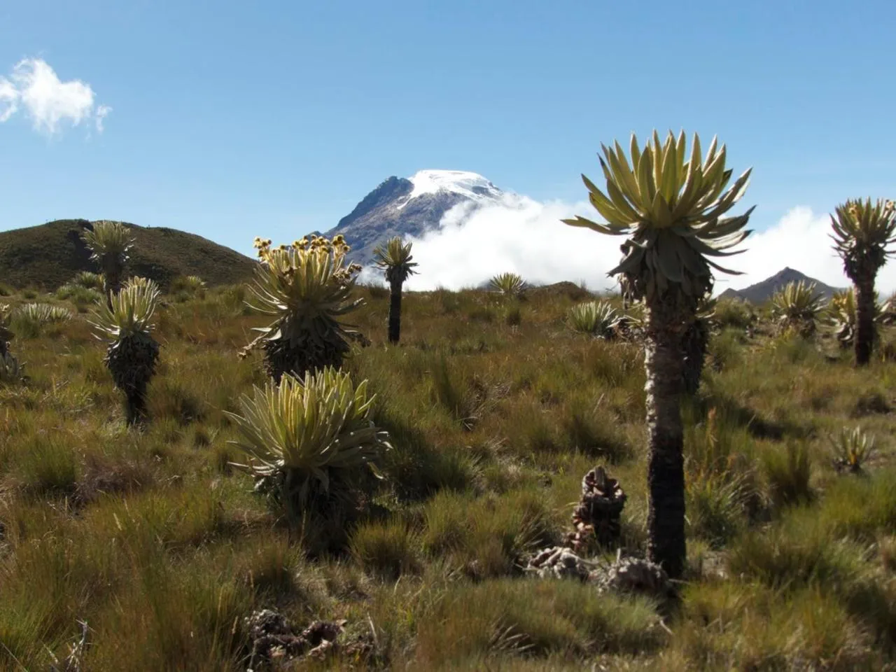Nearby landmark in Ecoresort Gran Azul