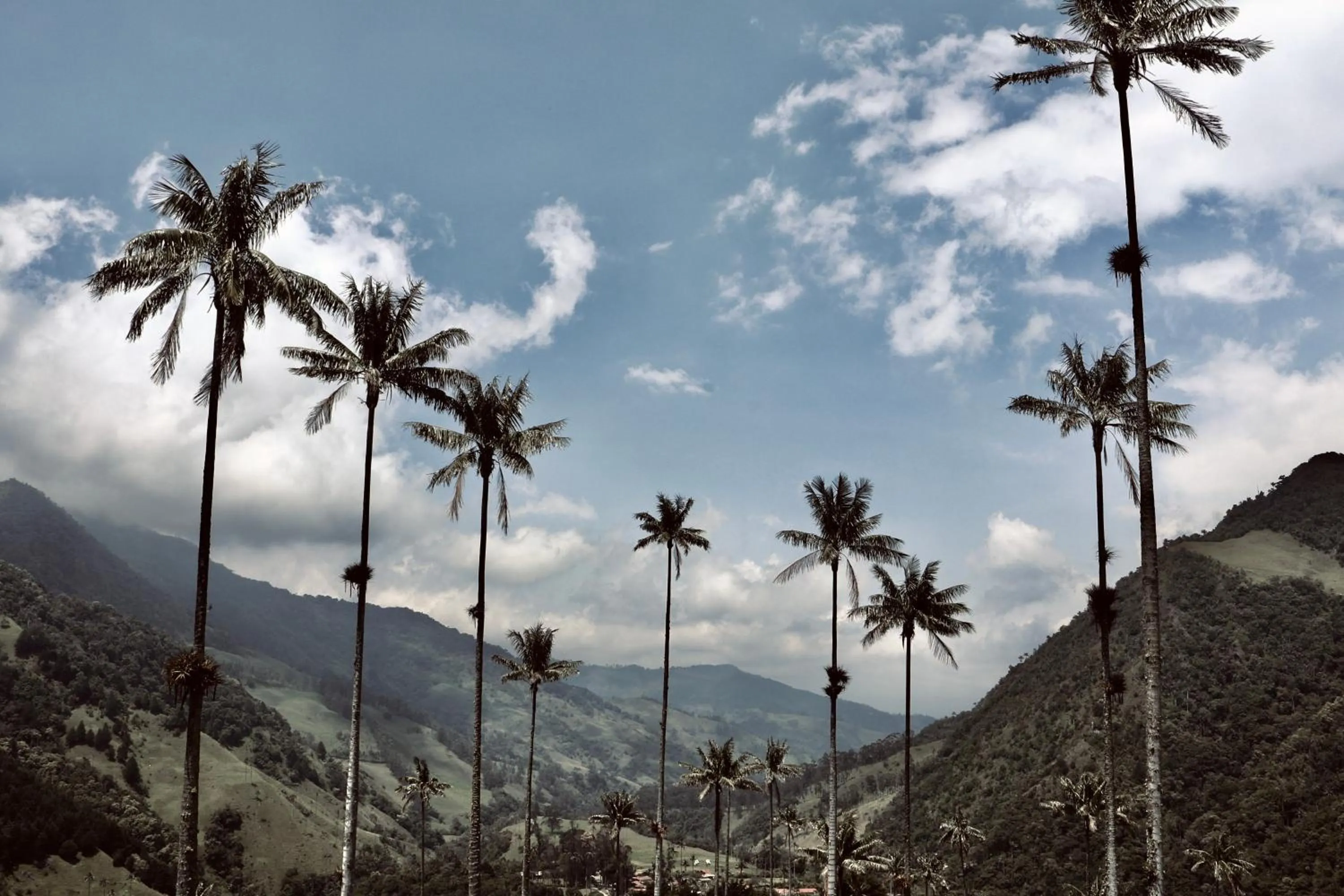 Nearby landmark in Ecoresort Gran Azul