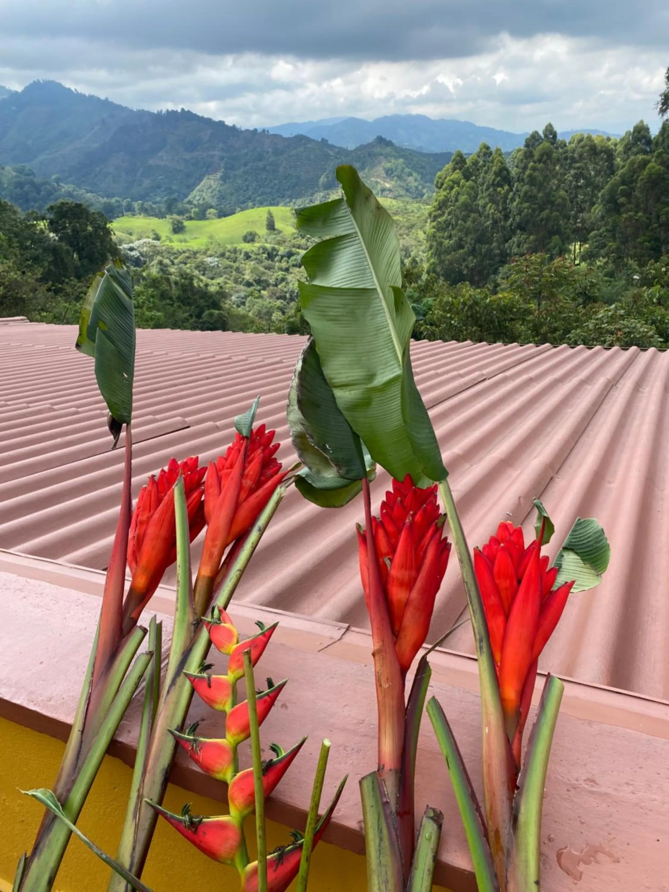 Garden in Ecoresort Gran Azul