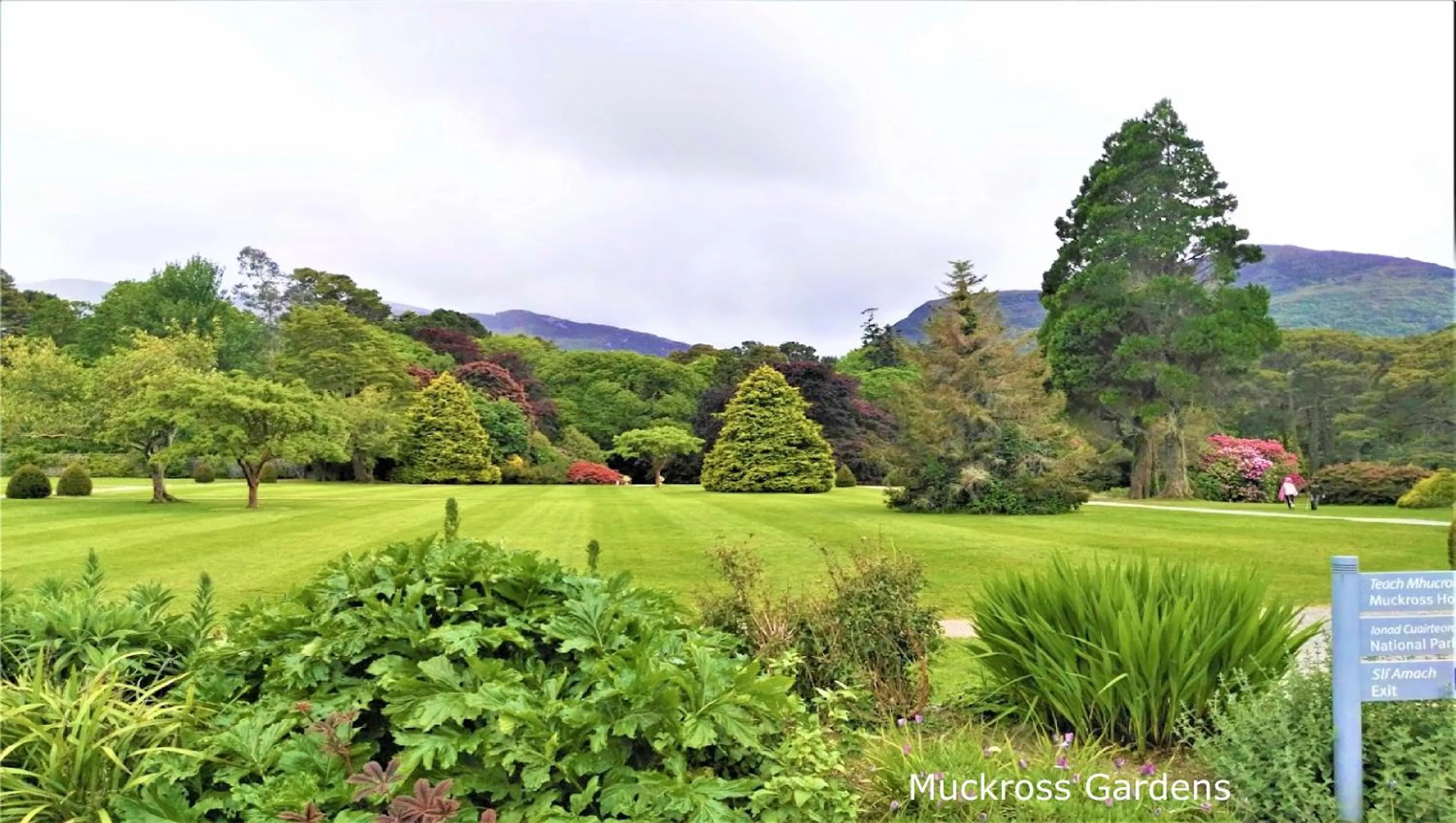 Natural landscape in Leabrook House