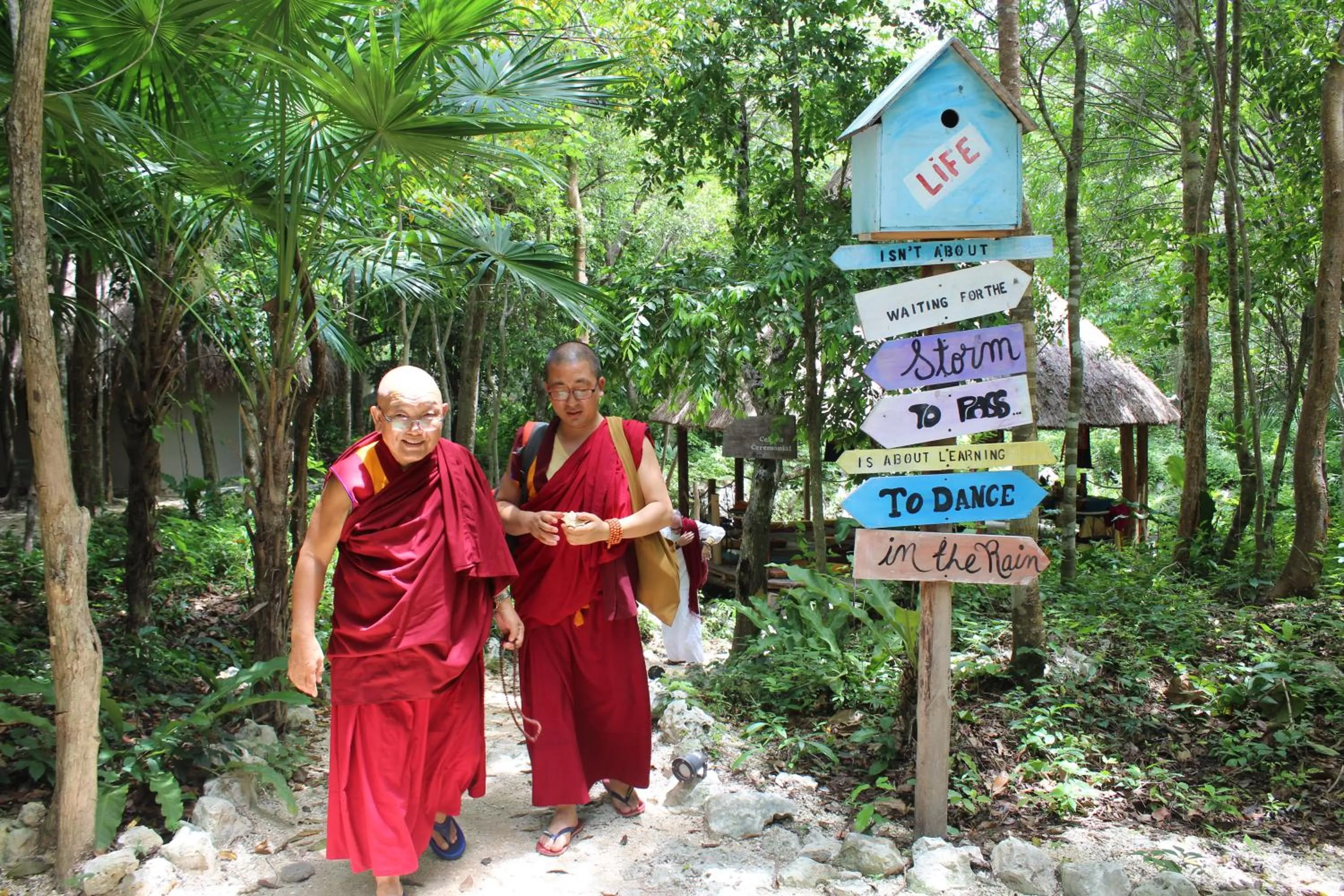 View (from property/room) in Akumal Natura Glamping