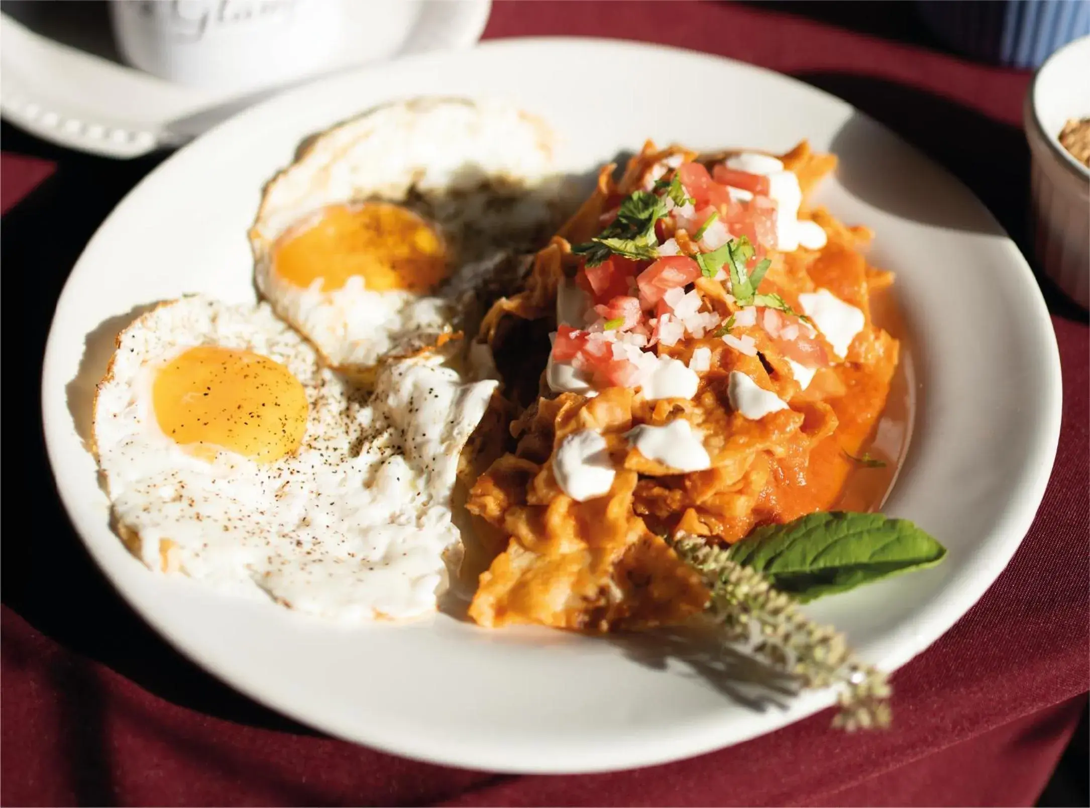 Food in Akumal Natura Glamping Food in Akumal Natura Glamping