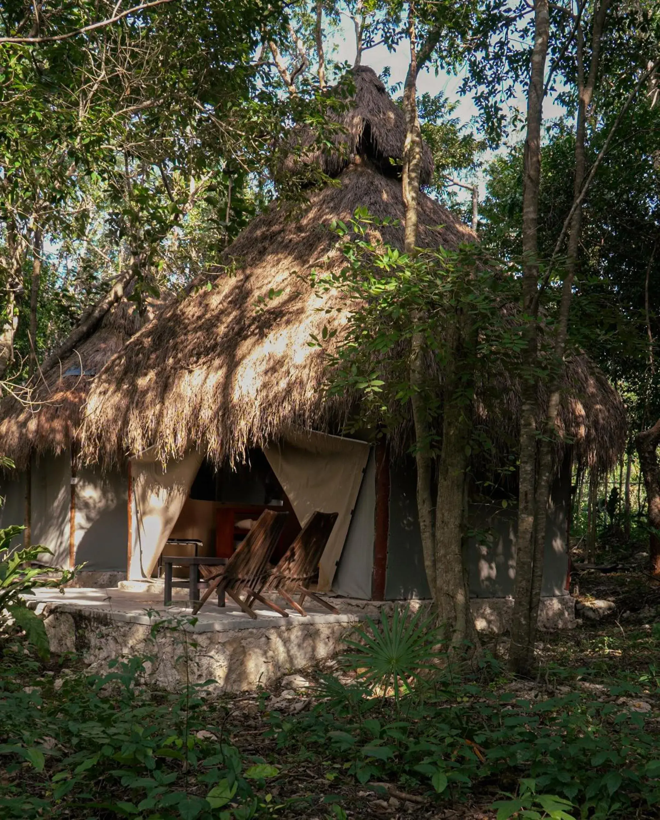 Garden view in Akumal Natura Glamping Garden view in Akumal Natura Glamping