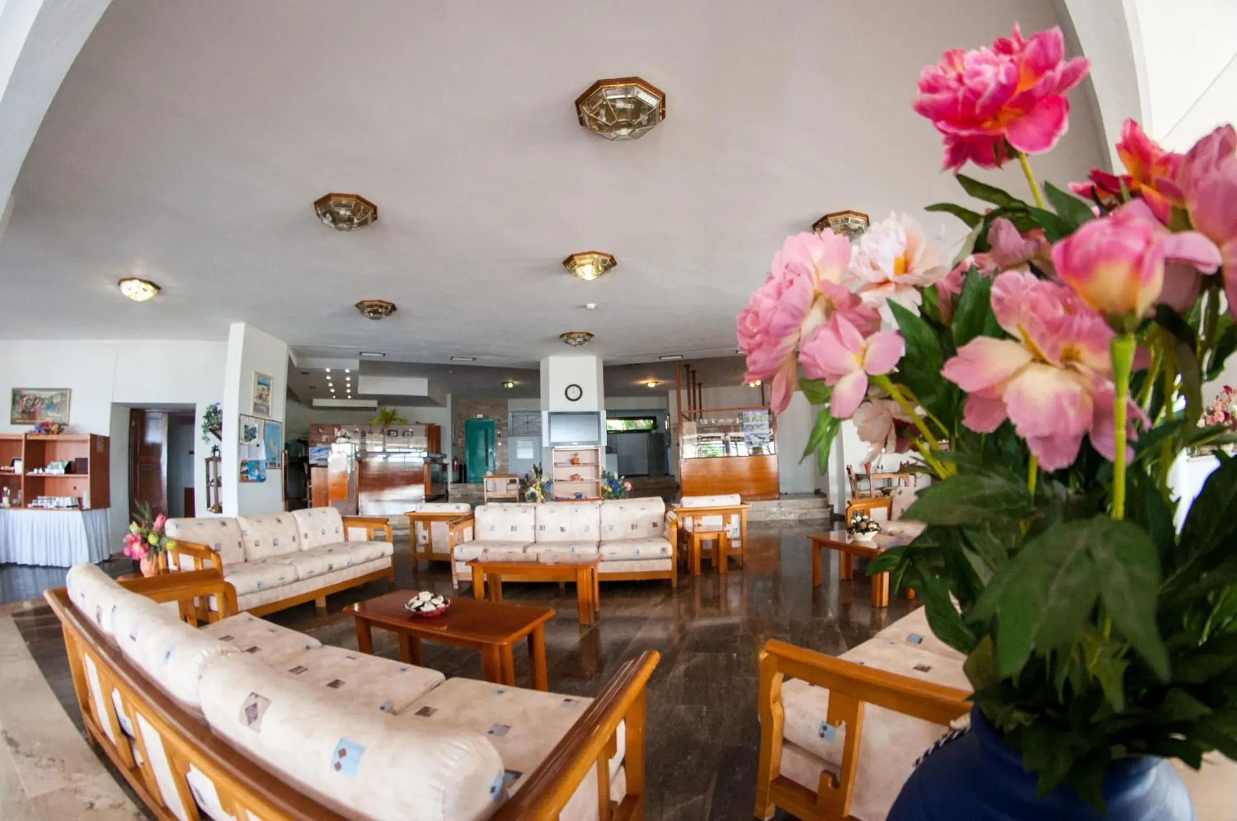 Lounge or bar in Karavados Beach Hotel Lounge or bar in Karavados Beach Hotel