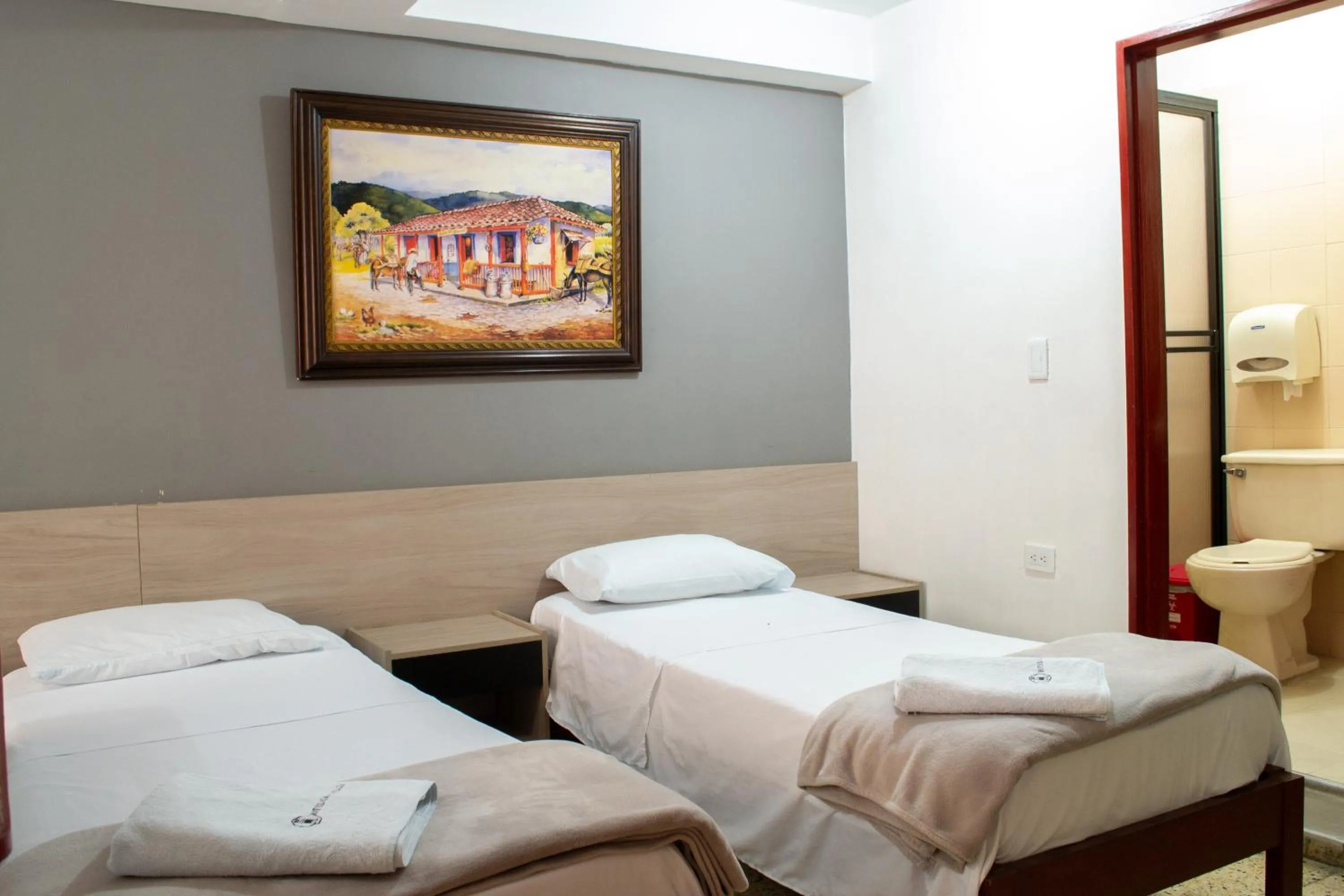 Standard Twin Room in Hotel Caldas Plaza