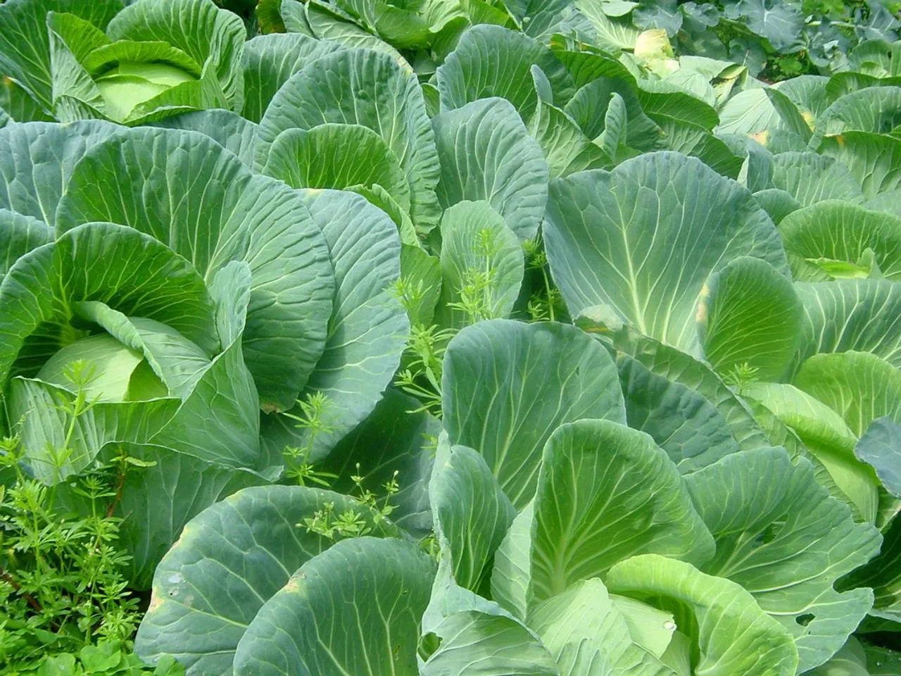 Natural landscape in Native Sea Amami Adan On The Beach