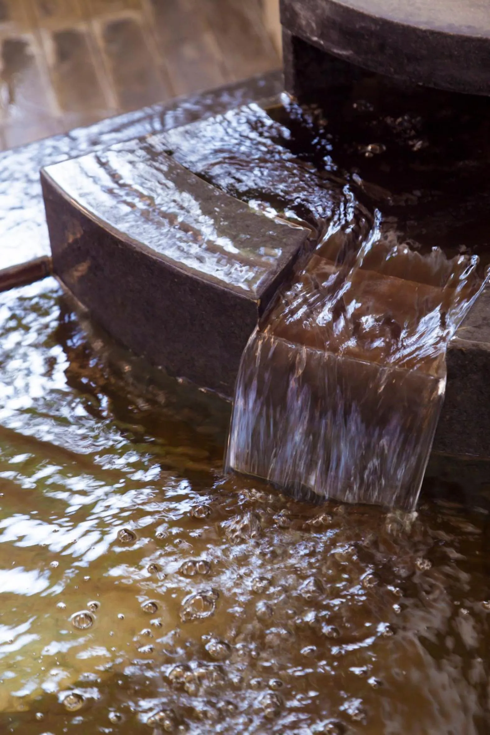 Other in Ureshino Motoyu