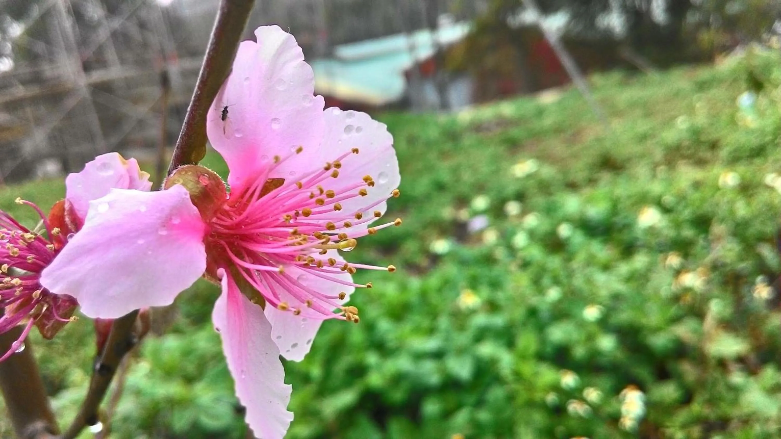 Natural landscape in Fully B&B