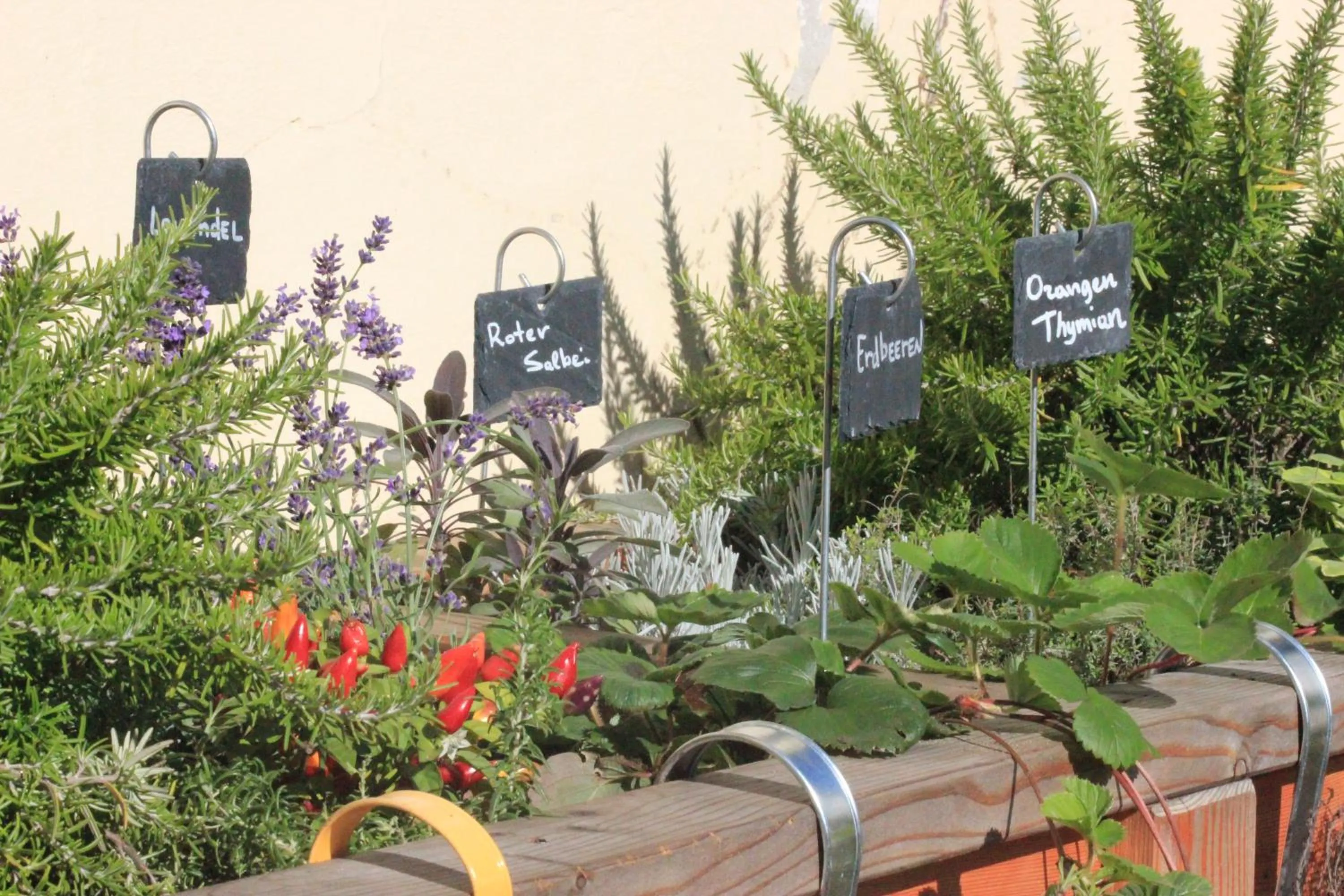 Garden in Familienhotel Post