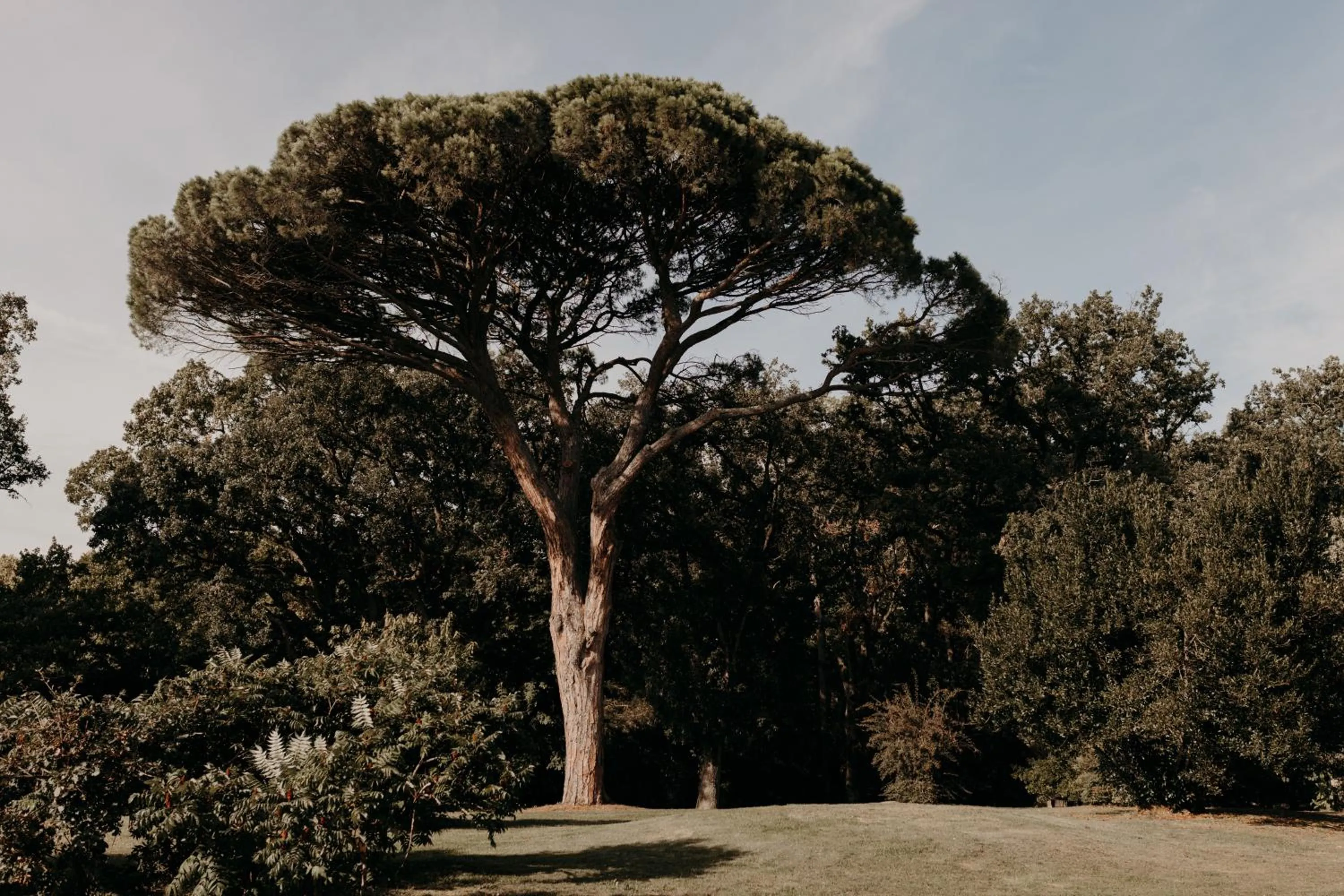 Garden in Domaine d'En Fargou