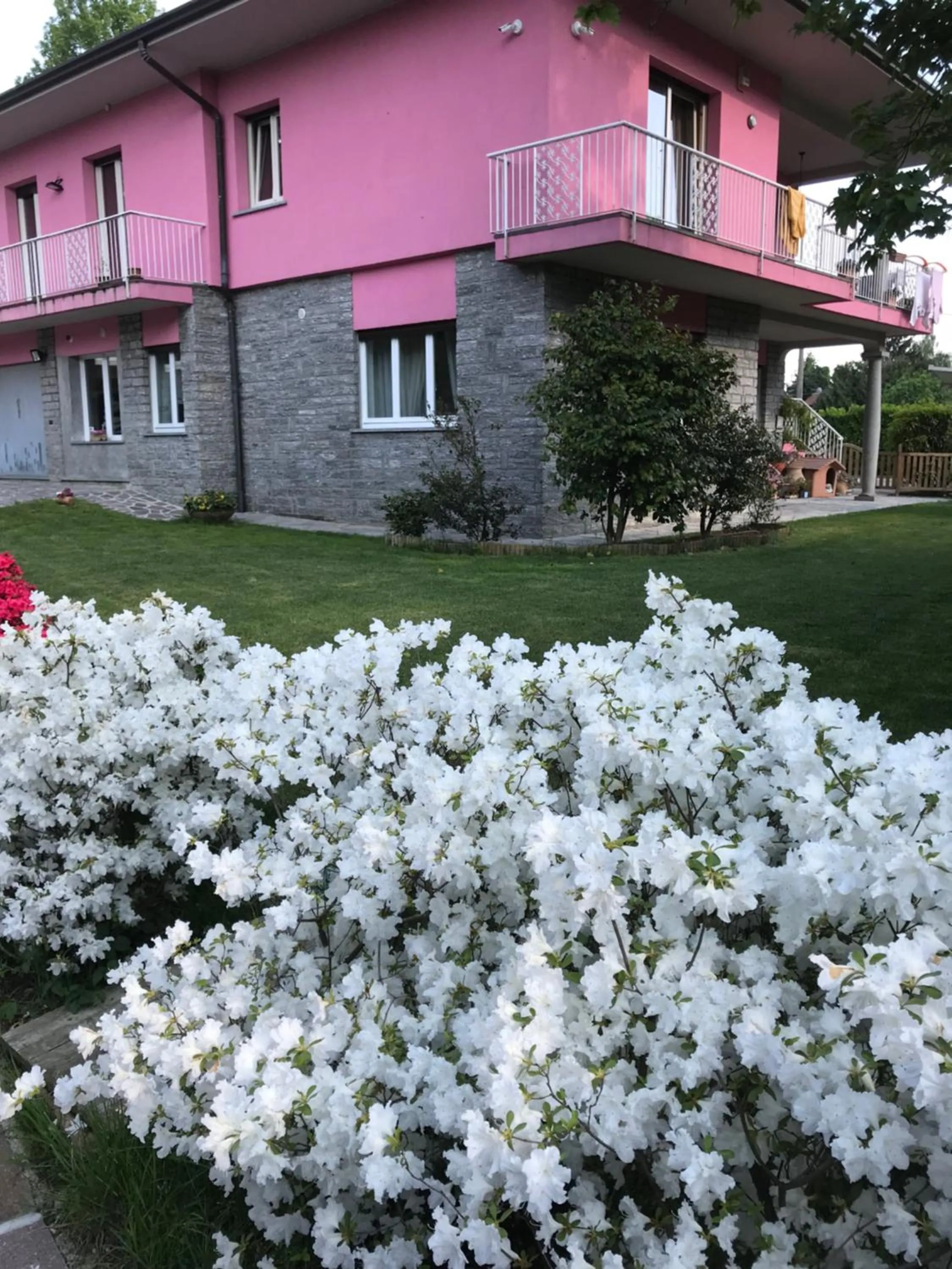 Garden in B&B La Rosa del Lago