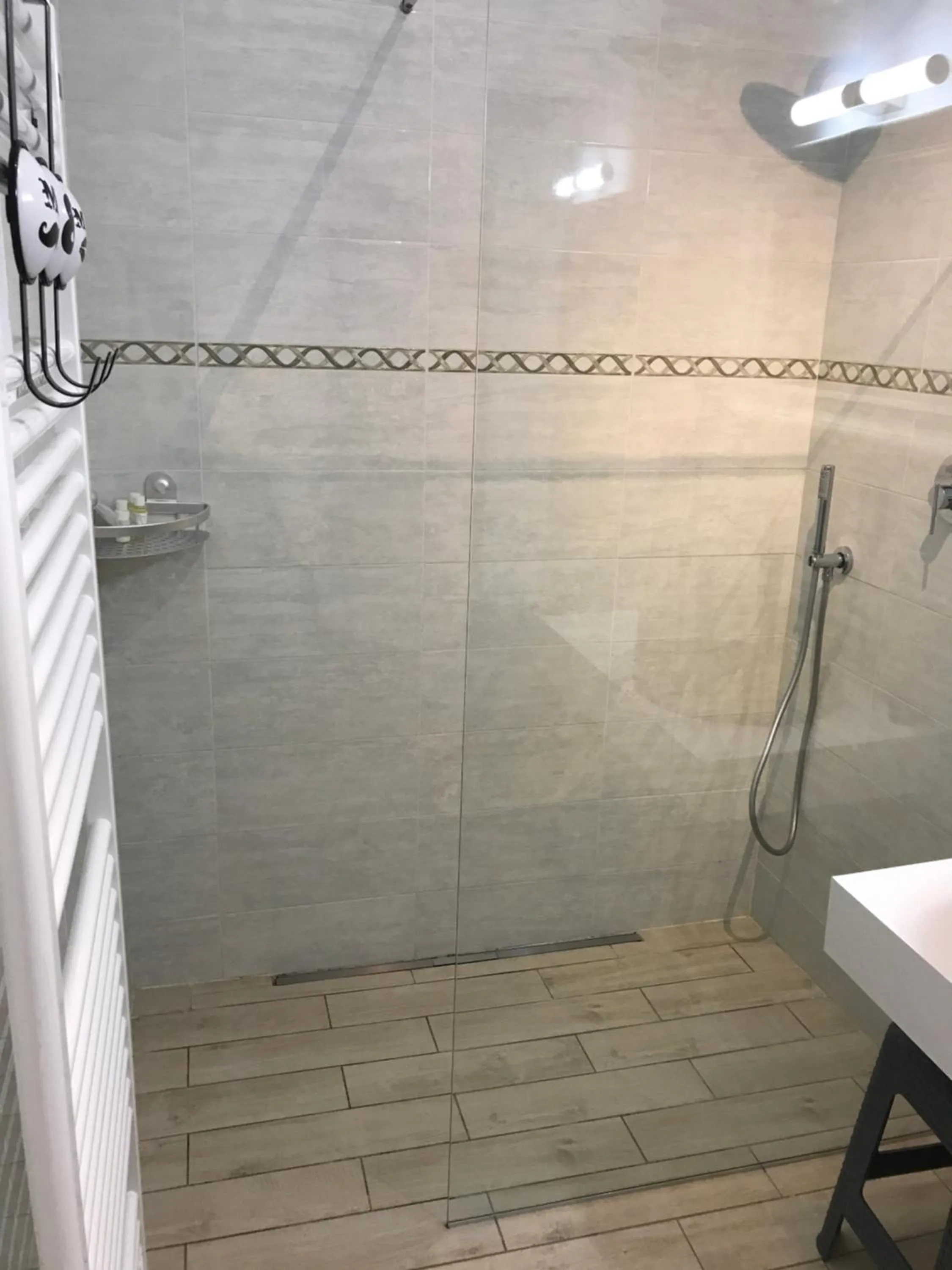 Shower in B&B La Rosa del Lago