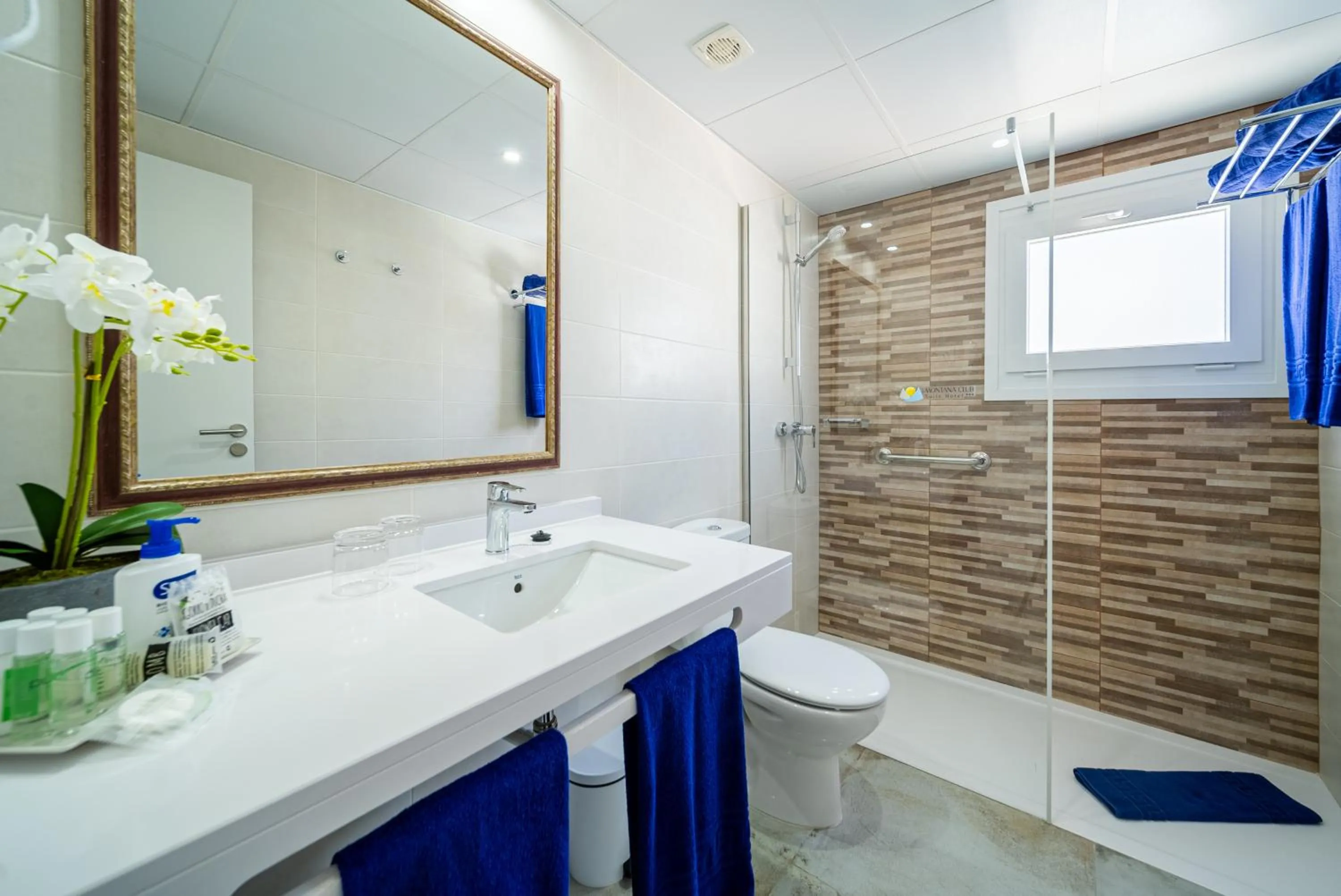 Shower in Suite Hotel Montana Club