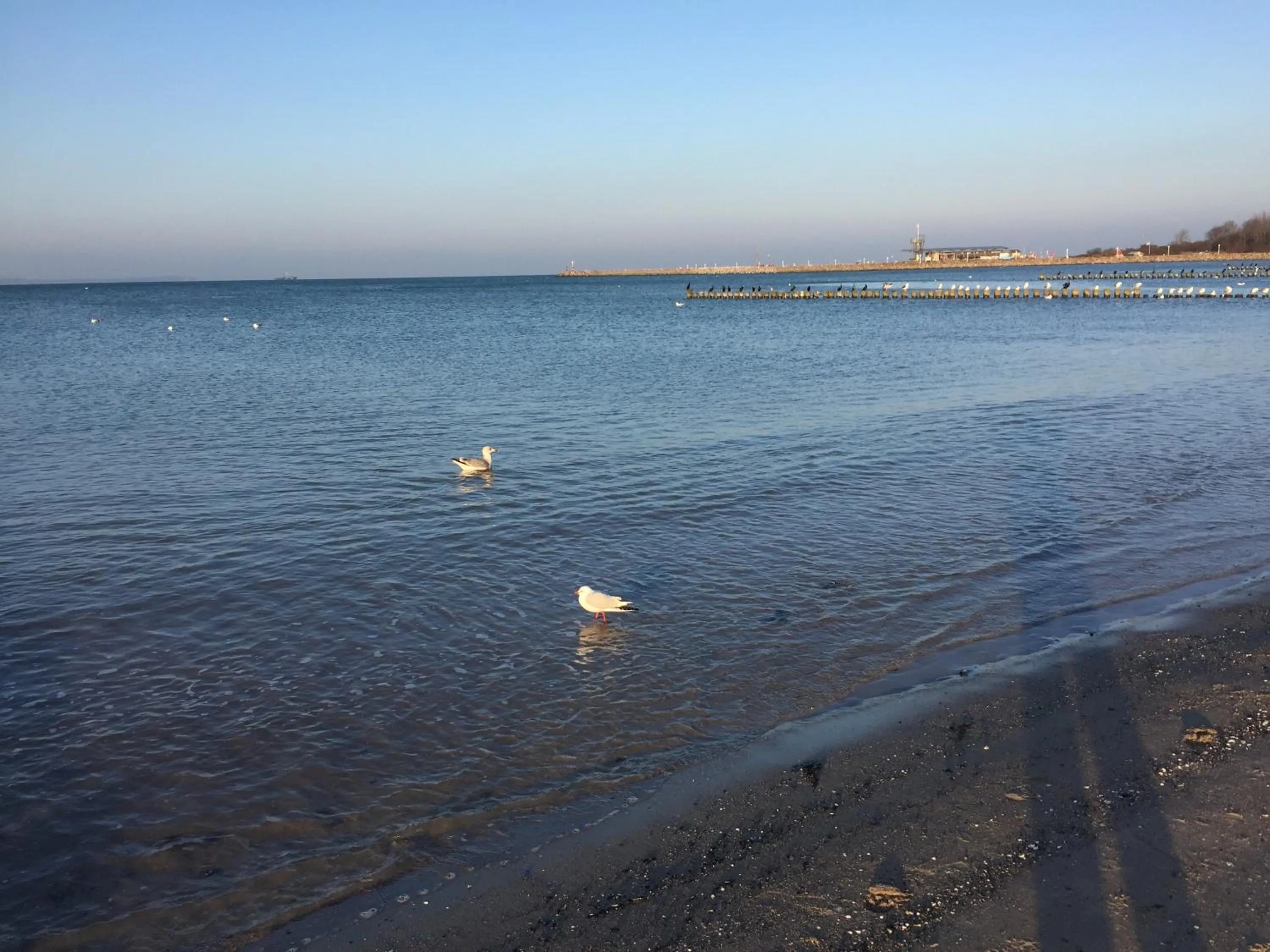 Beach in Ferienhaus Arielle