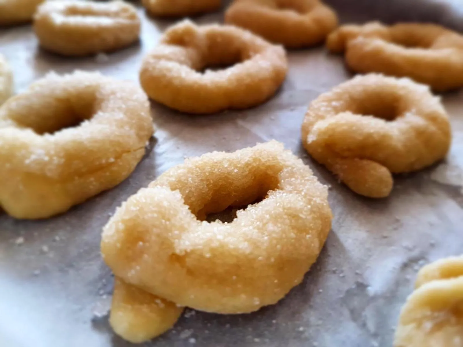 Area and facilities in Il Borgo Antico