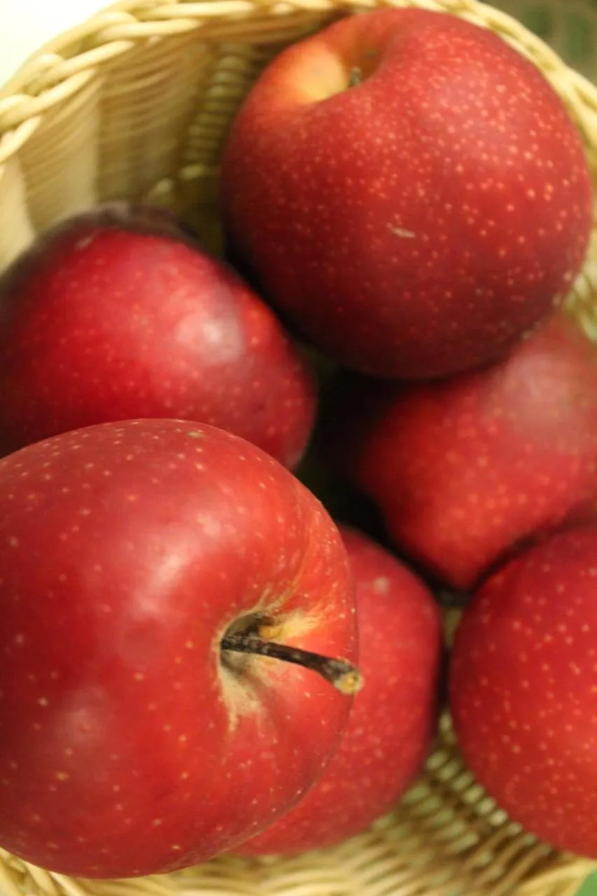 Food close-up in Il Borgo Antico