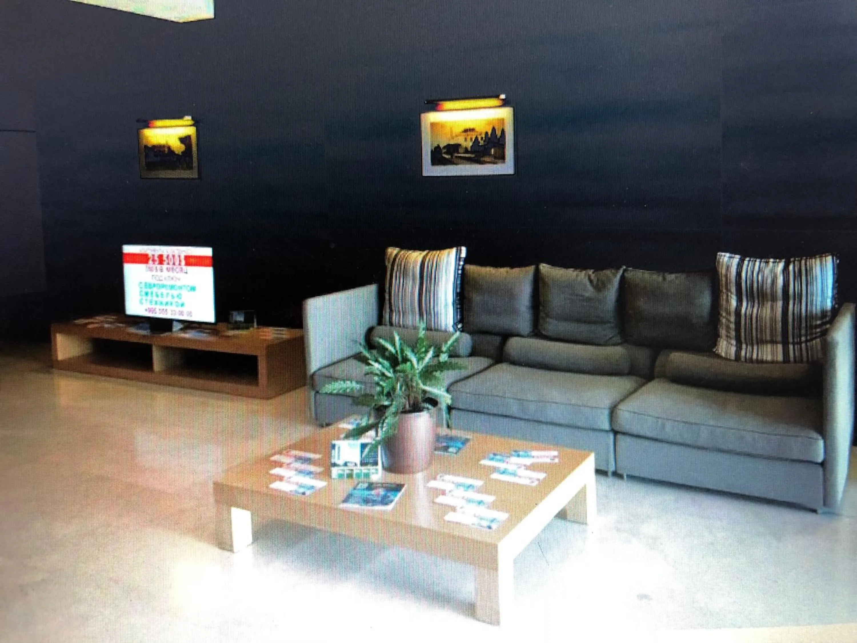 Irina Apartment 1
