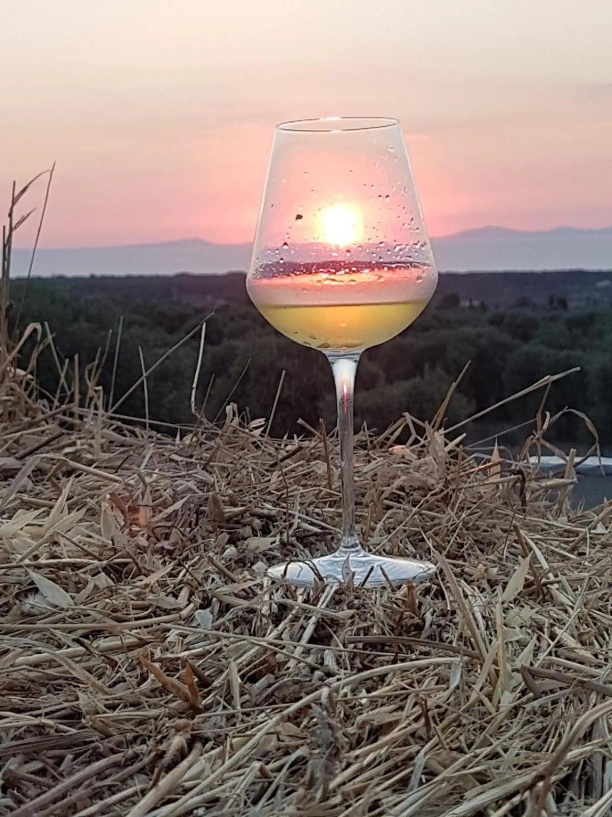 Serra Niedda Resort & Agriturismo