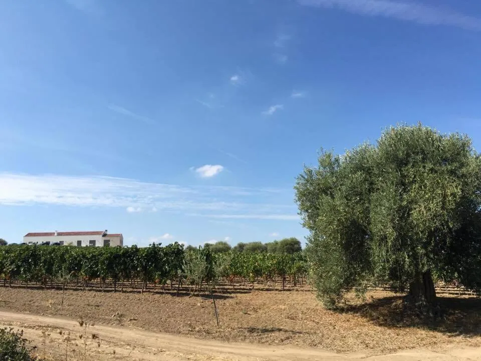 Serra Niedda Resort & Agriturismo