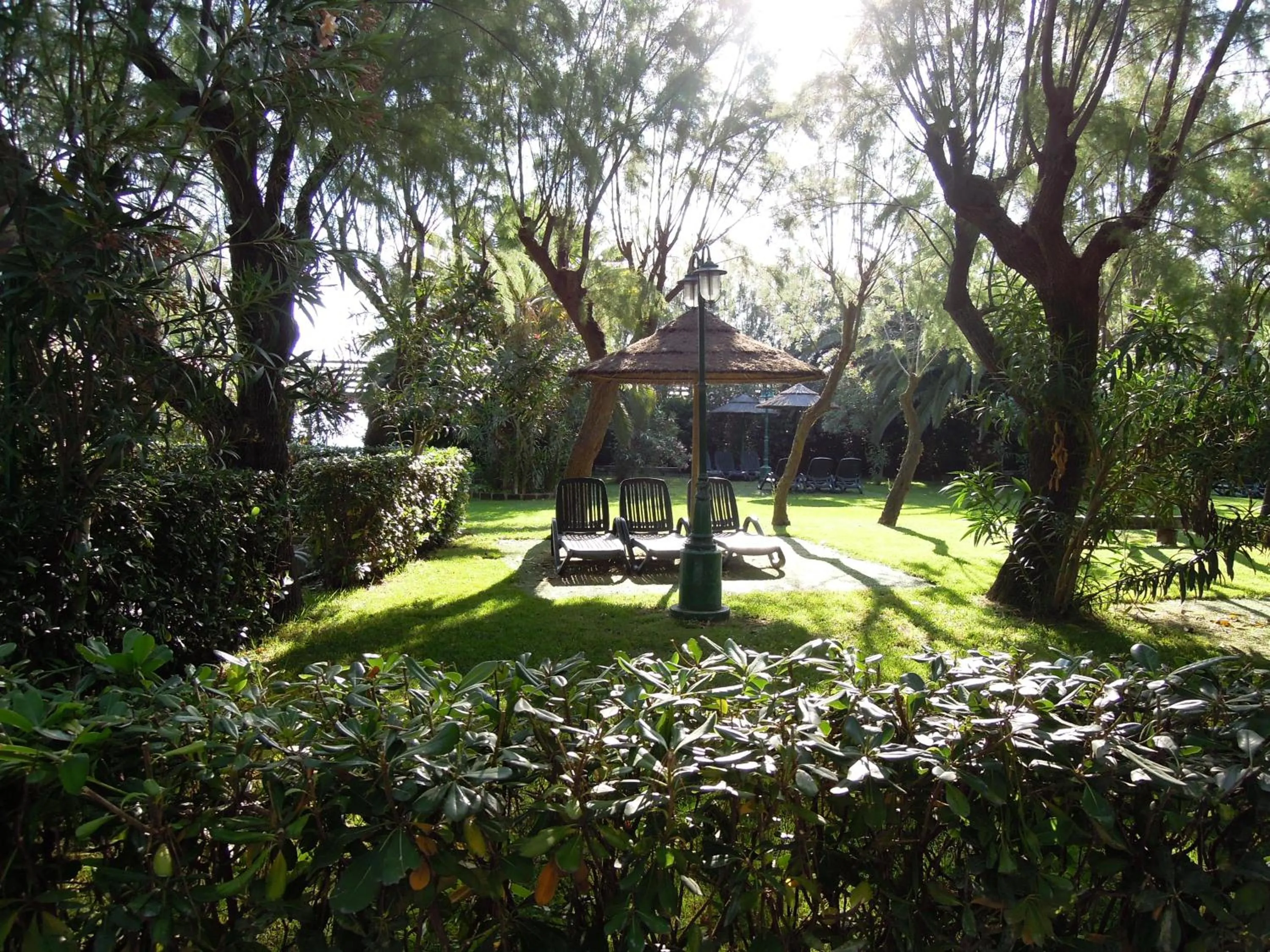 Garden view in Victoria Mobilehome Tortoreto Lido