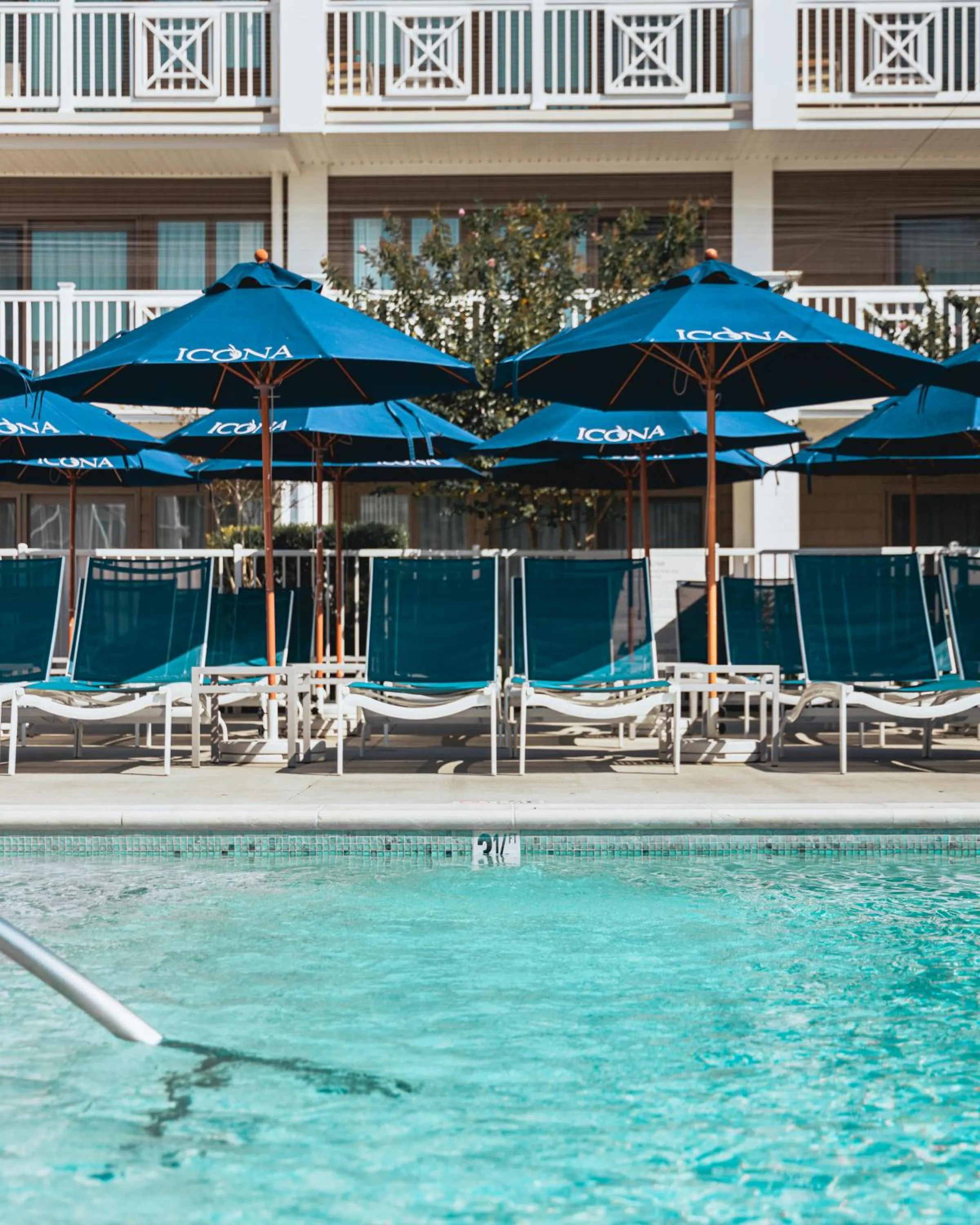 Swimming pool in ICONA Avalon