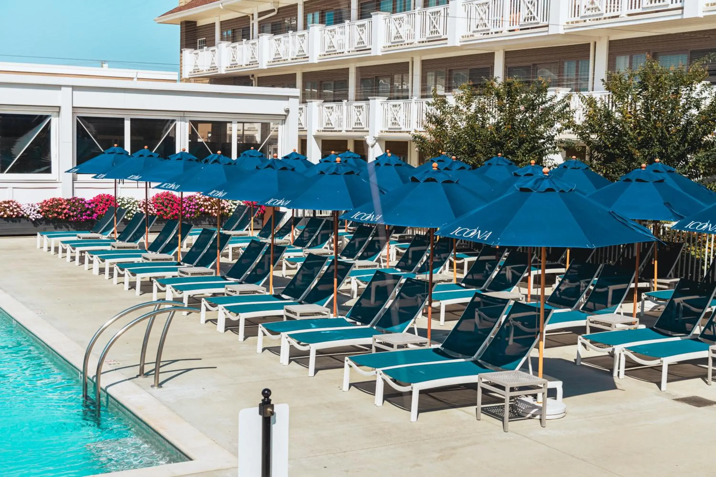 Swimming pool in ICONA Avalon Swimming pool in ICONA Avalon