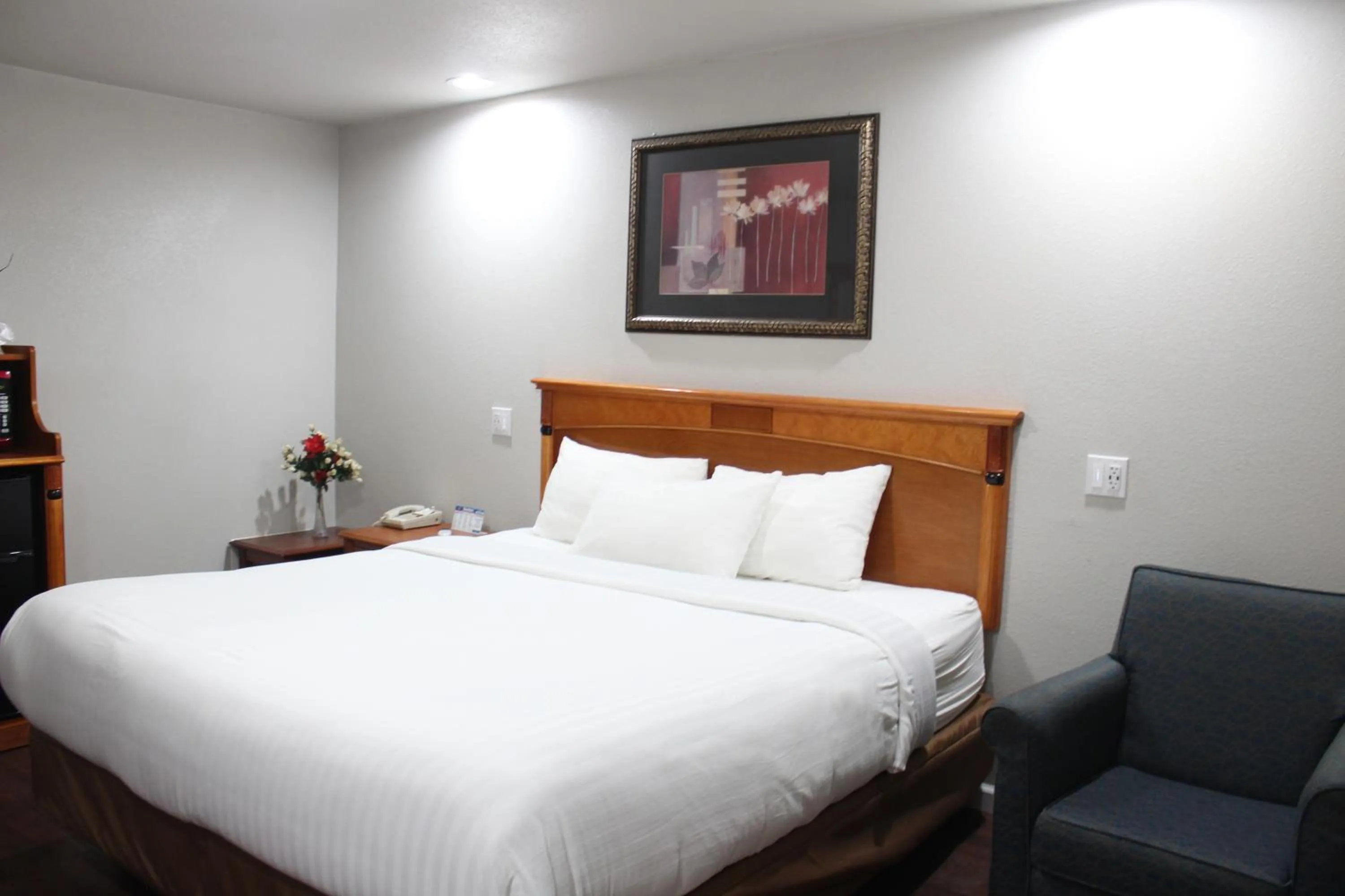 Bed in Thunderbird Motel Las Vegas/ New Mexico