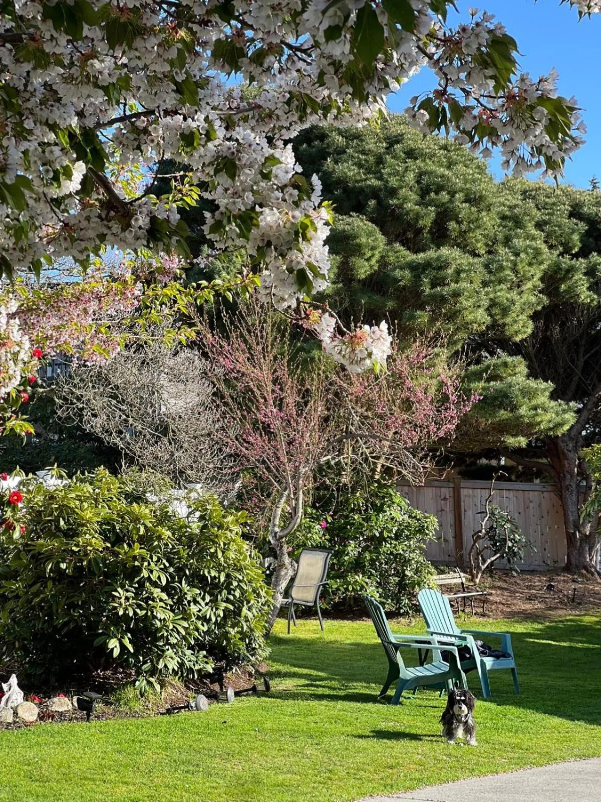 Garden view in Villa Rivarola