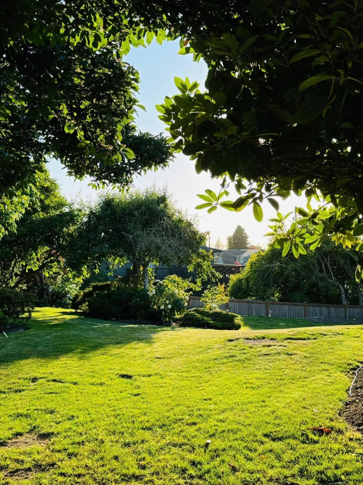 Garden in Villa Rivarola
