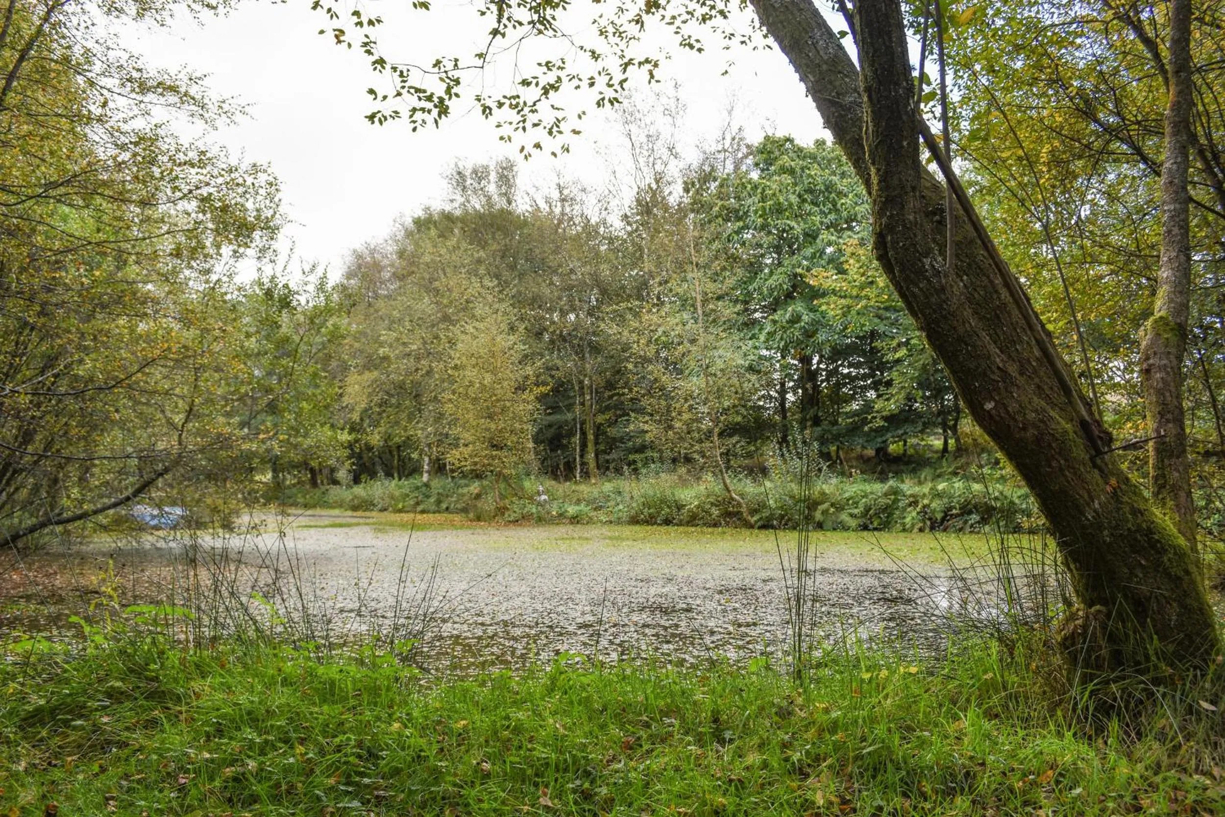 The Linhay